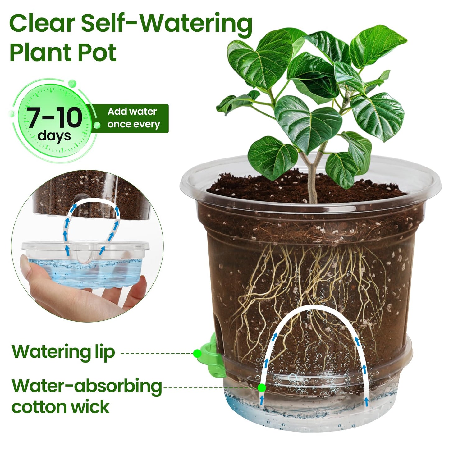 MIXC 18 Packs 6.5/5/4 Inch Self Watering Pots for Indoor Plants - Clear Nursery Plant Pots with Drainage, Deep Visible Reservoir - Flower Planter Outdoor with Wicking Rope