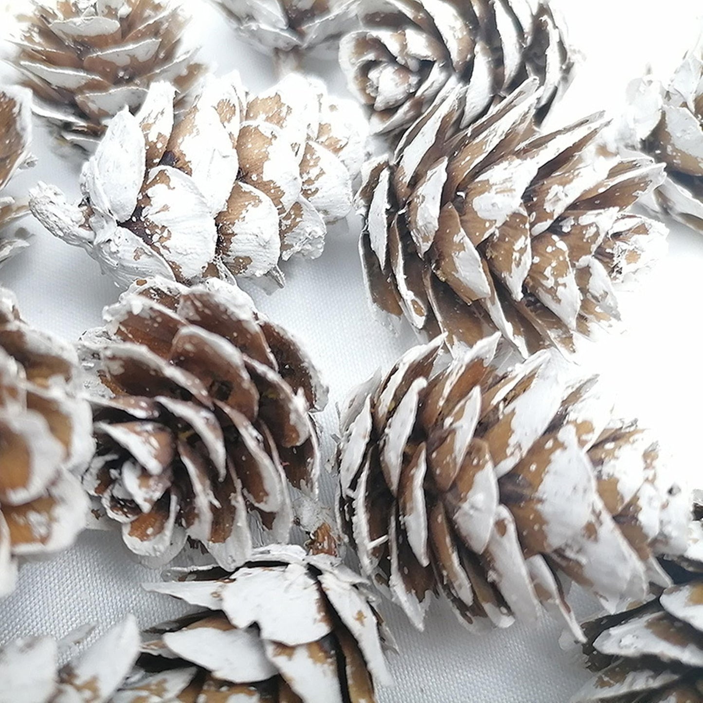 fypuda 160 PCS Mini Snow Pine Cones Christmas Thanksgiving Pine Cones Bulk White Christmas Small Tiny Pinecones Ornaments for Home Decoration DIY Crafts Wedding Xmas Tree Fall Winter Decor