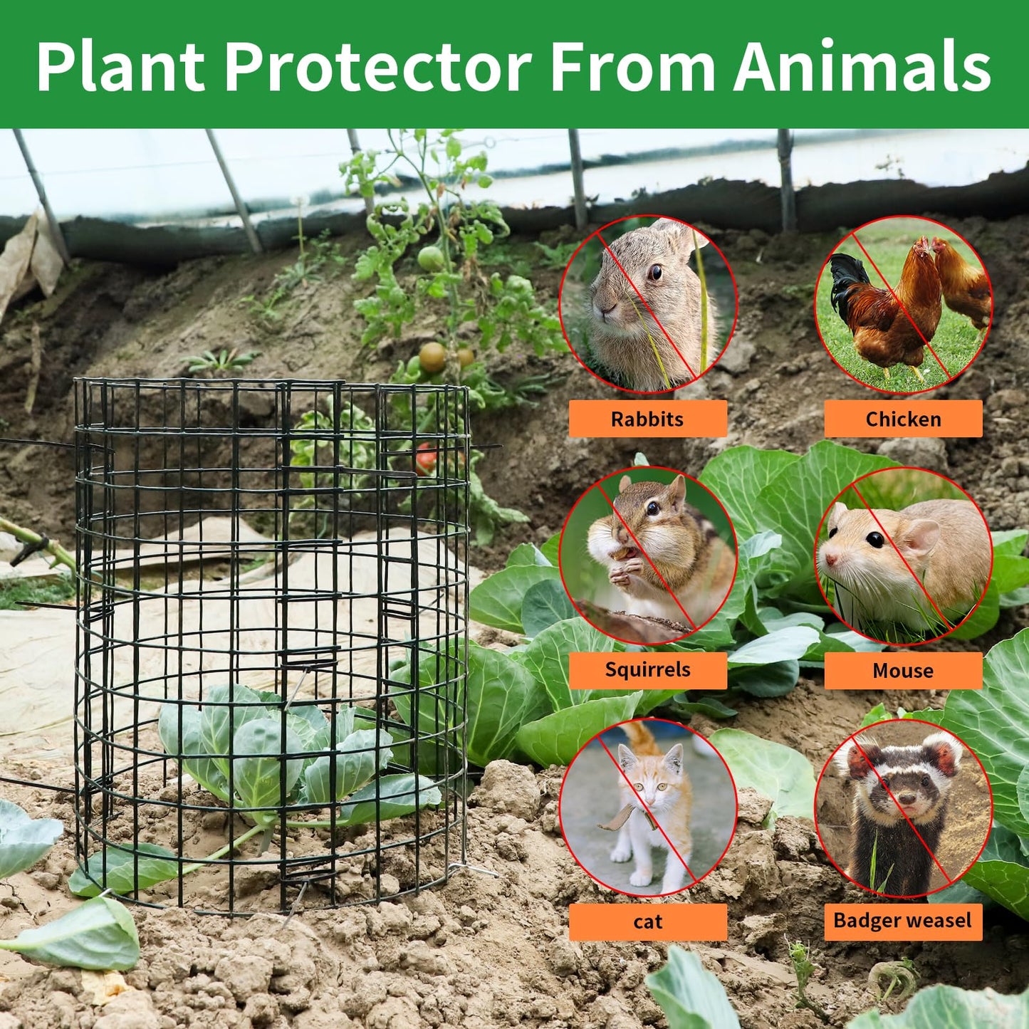 LAPEQQIOJEJ 5 Pack Plant Protector from Animals, 12x12 Inches Wire Plant Protector, Plant Cages to Keep Rabbits Out
