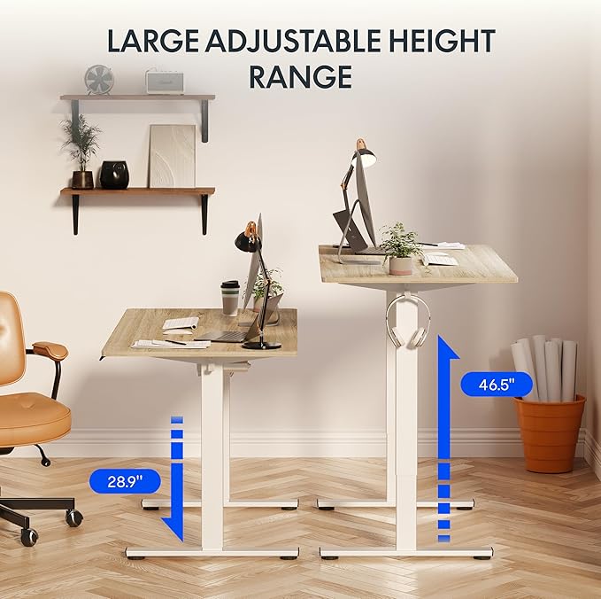 FLEXISPOT EN1 One-Piece Standing Desk, 48 x 24 Inches Electric Height Adjustable Desk for Home Office (White Frame + White Wood Grain Desktop)