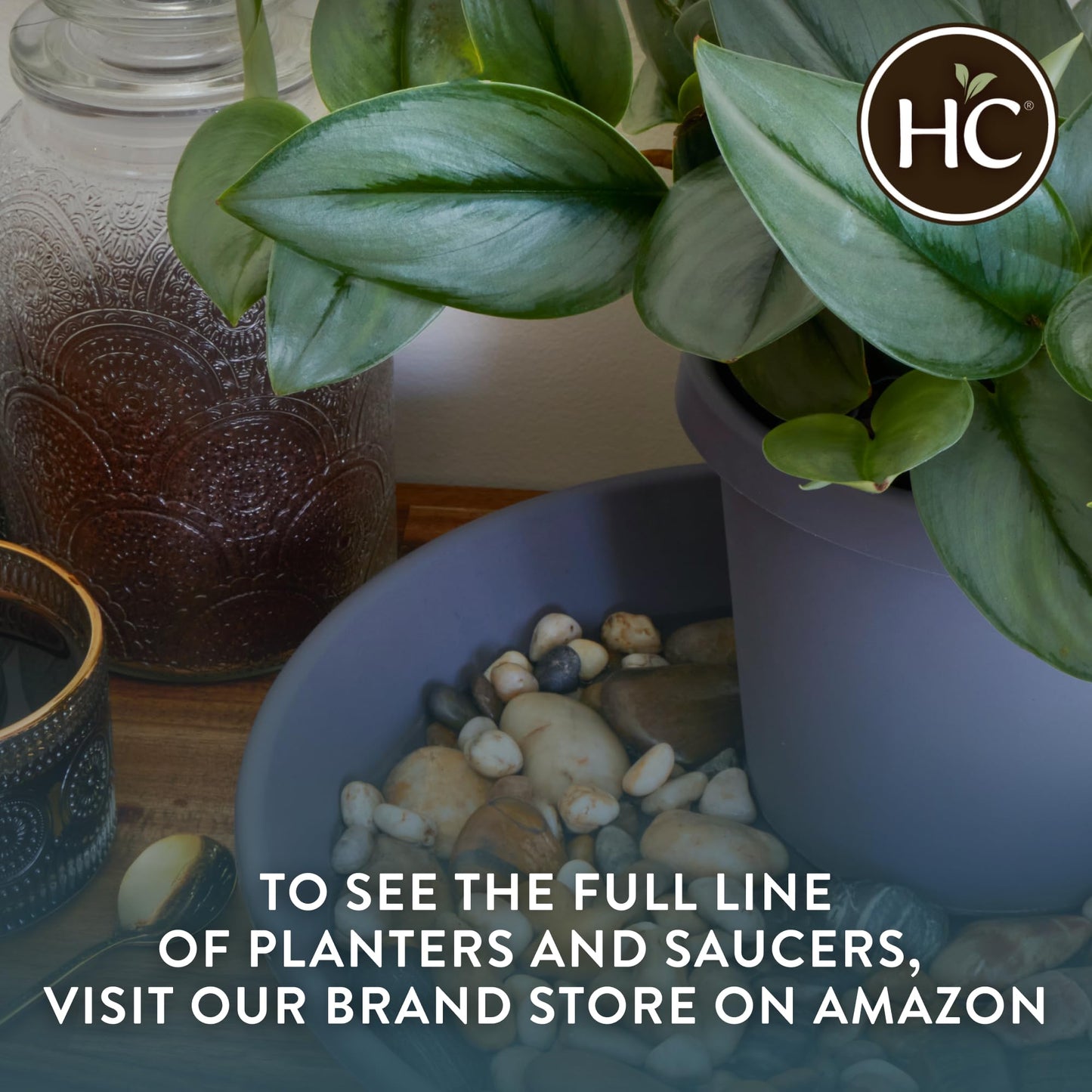 The HC Companies 11.5 Inch Classic Round Planter Pots with Drainage, Rolled Rim Plastic Planters for Indoor & Outdoor Plants, 2-Pack Decorative Flower Pots for Garden, Office & Home Decor, Chocolate