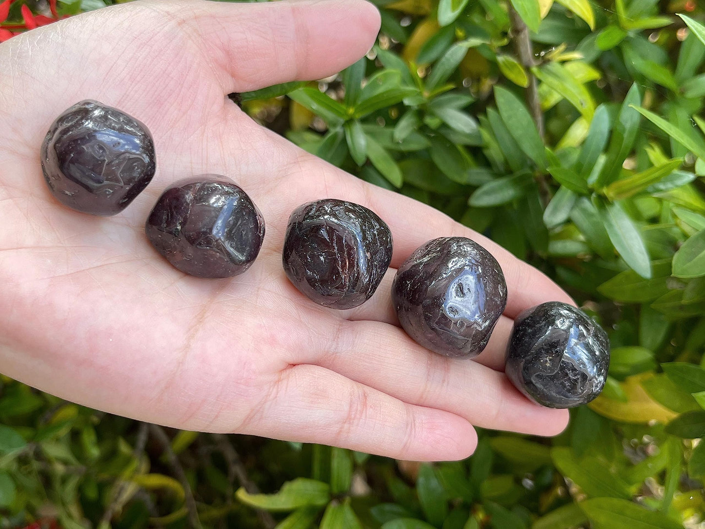 GAF TREASURES 5 Pcs Garnet Tumbled Stones, Polished Garnet Gemstone, Garnet Healing Crystals (Garnet)