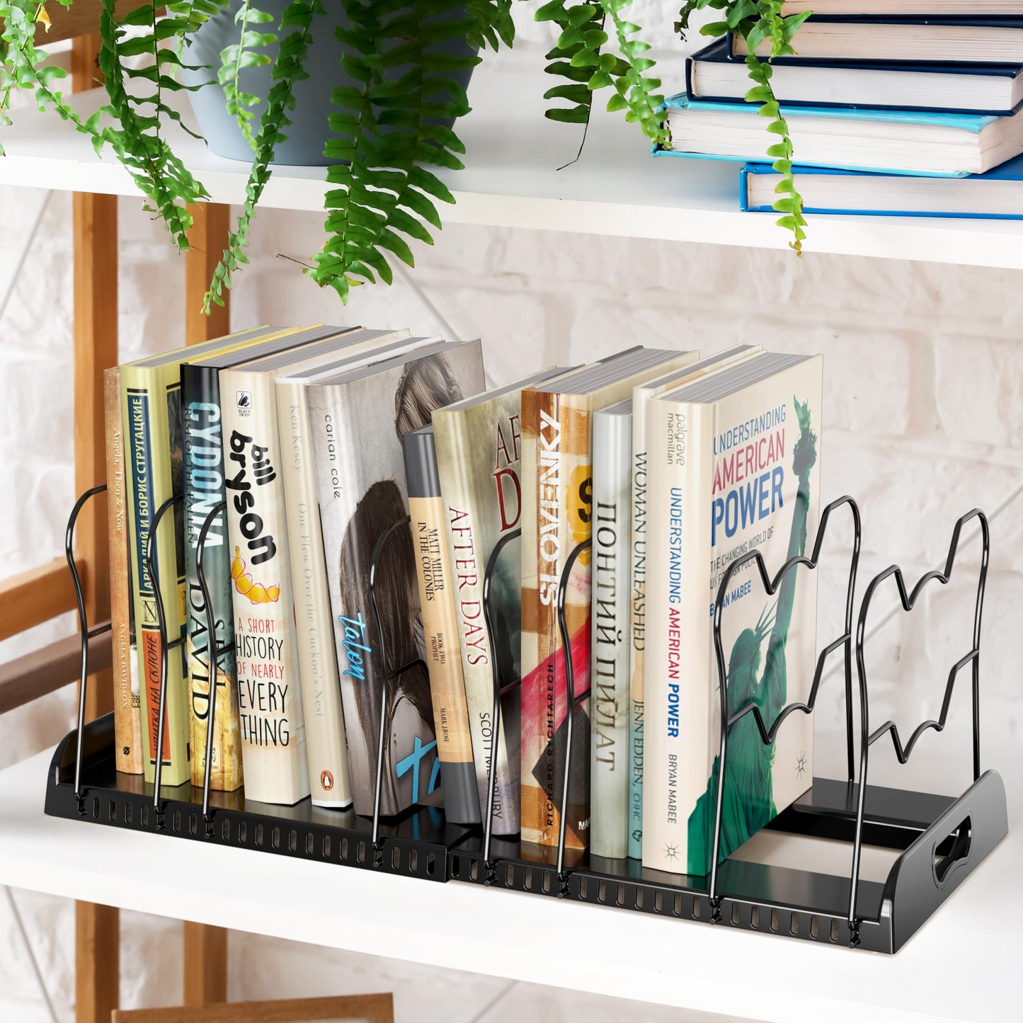Simple Houseware Expandable Pan Organizer Rack, 10 Adjustable Compartments, Black - Kitchen Cabinet Organizer for Pots, Pans, Lids & Bakeware - Pantry & Countertop Storage