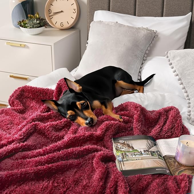PAVILIA Sherpa Throw Blanket for Couch Sofa, Wine Red Fluffy Warm Plush Blanket for Bed, Cozy Super Soft Lightweight Throw, Fuzzy Decorative Blanket, All Season Home, 50x60