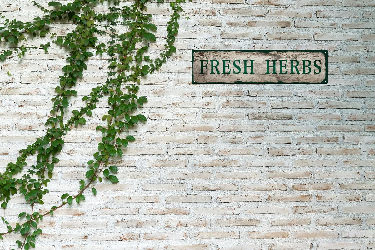 Vintage Tin Sign Retro Metal Fresh Herbs Signs for Home Decor Stylish Wall Art Plaques Gift for Home Bathroom Kitchen and Gothic Wall Decor in Every Room 16x4 in