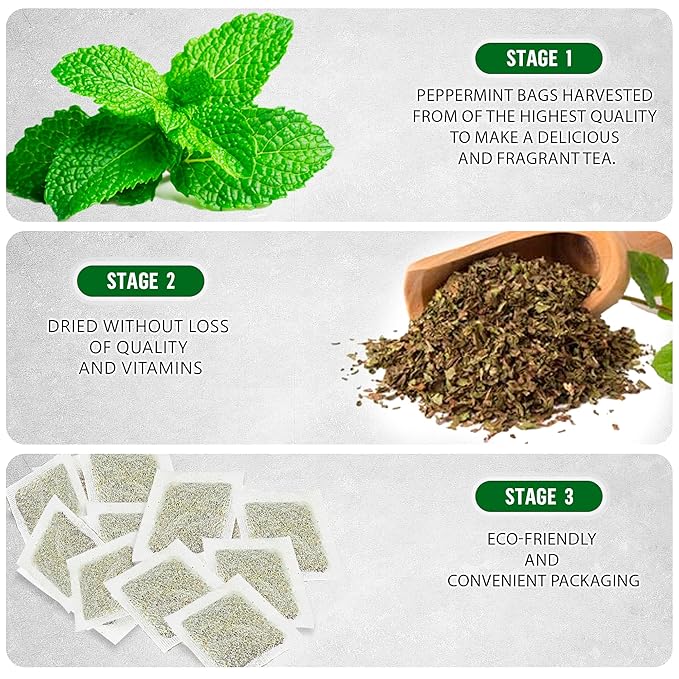 TeaDreamTea Peppermint Tea - Mint Tea Bags - Alleviates Digestive Discomfort | Herbal Tea - Aromatic & Caffeine Free - Bulk (300 Teabags)