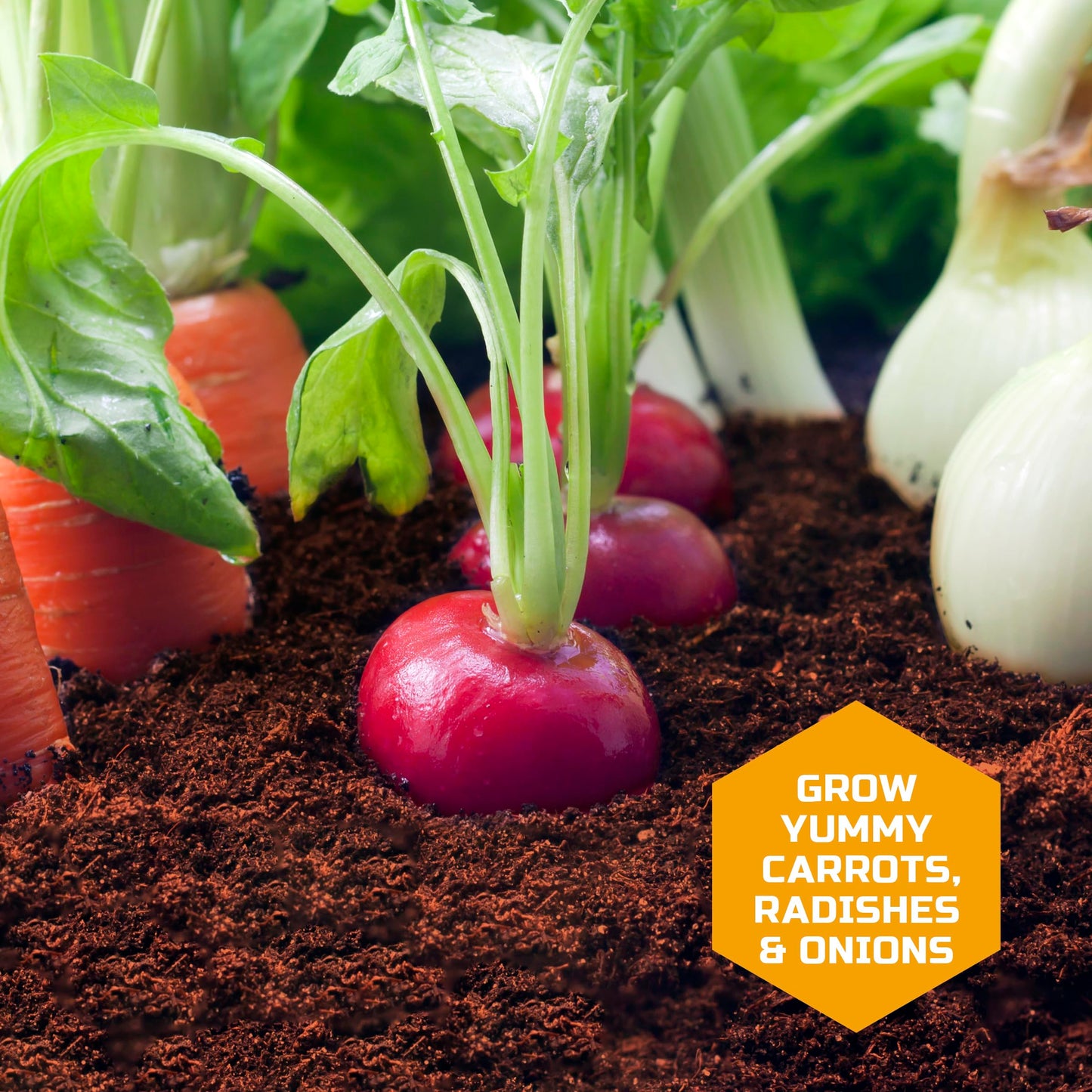 Discovery™ Edible Veggie Garden Watch-It-Grow Kit – DIY STEM Activity for Kids | Grow Carrots, Radishes & Onions| 11-Piece Science Kit with Seeds, Potting Mix & Root Tracker| Learning Toy Gift Ages 6+