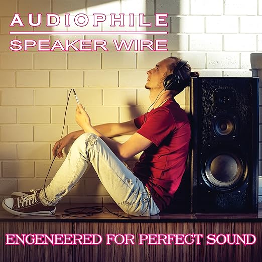 NATIONAL Wire&Cable - 12/2 Audiophile Speaker Wire (25 Feet) 12AWG Gauge - Made in USA - in Wall Audio Speaker Wire Cable/CL Rated/ETL Listed / 2 Conductors - OFC Oxygen-Free Copper, White 25ft