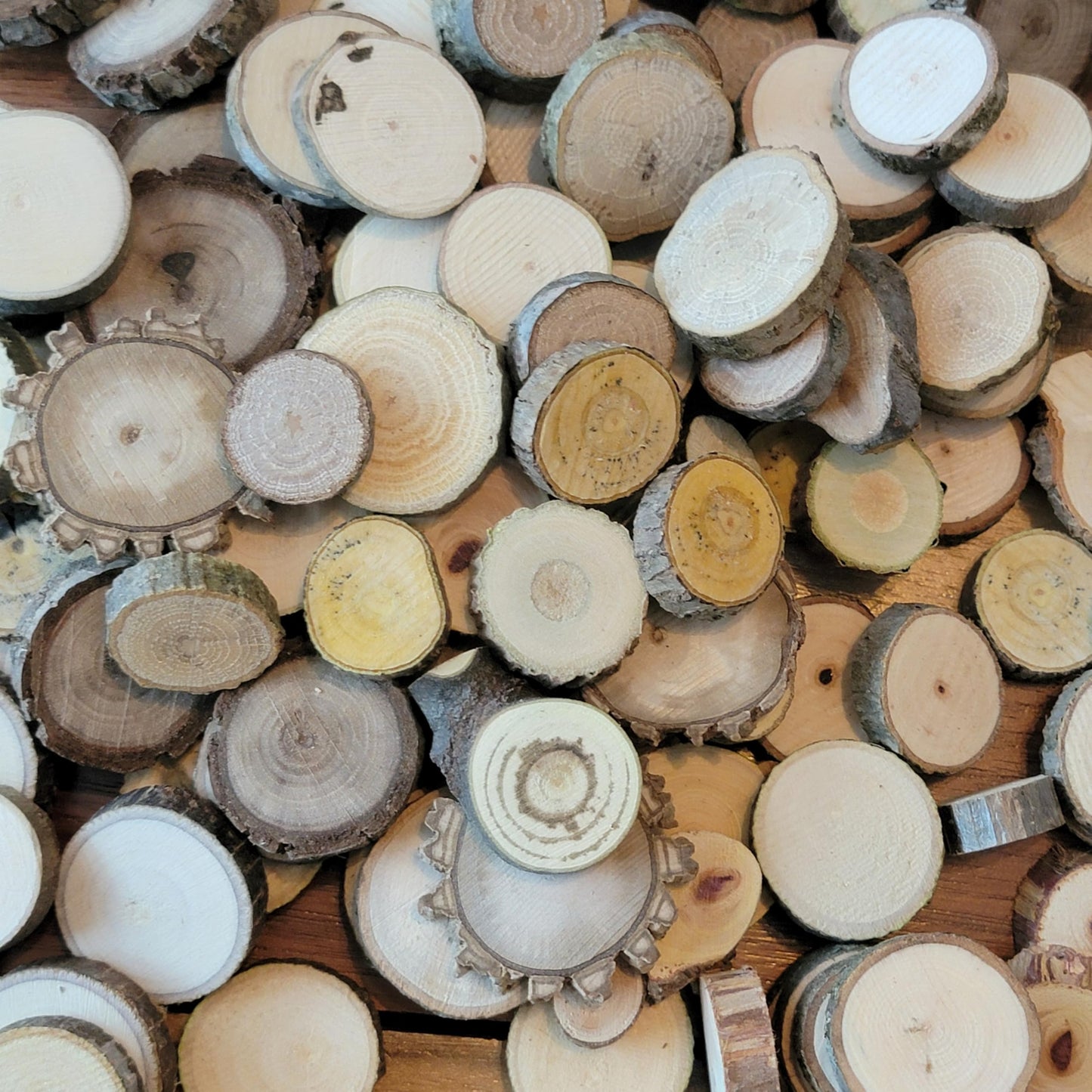 Unfinished Wood Slice Variety Pack, Extra Small Assorted Wood Slices 0.75 to 1.25 Inch Diameter, Natural Organic Vase Filler, Wedding or Home Decor, DIY Craft Projects