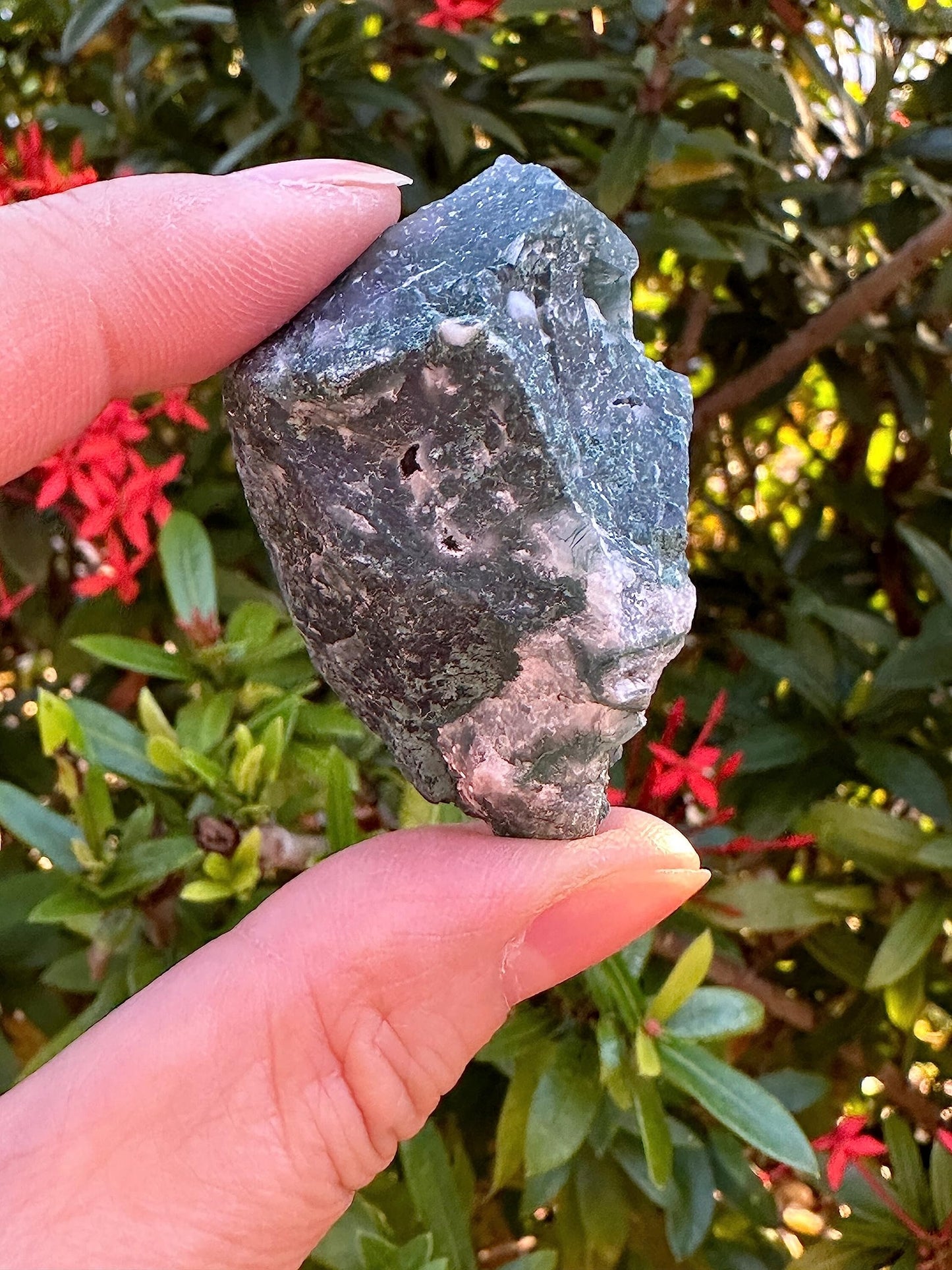 GAF TREASURES Wholesale Raw Tree Agate Crystals, Natural Tree Agate, Natural Rough Tree Agate Crystals, Tree Agate Healing Crystals (Tree Agate, 0.5 Pound)