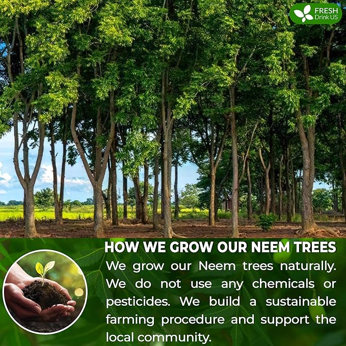 FreshDrinkUS, Premium 33 Neem Leaf Tea Bags, 100% Natural and Pure from Neem Leaves. Herbal Tea. No Sugar, No Caffeine, No Gluten, Vegan.