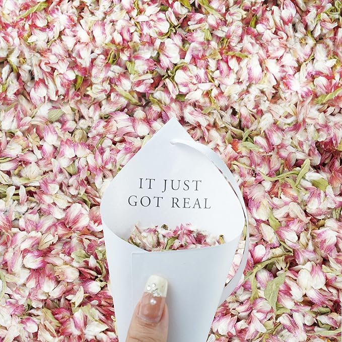 RainbowPana 30 Pack Pre-assembled Biodegradable Confetti with Hanging Cones | Cones & Ribbon + Dried Flower Petals | Wedding Confetti, Dried Real Flower Petals | Wedding Send-Off Ideas