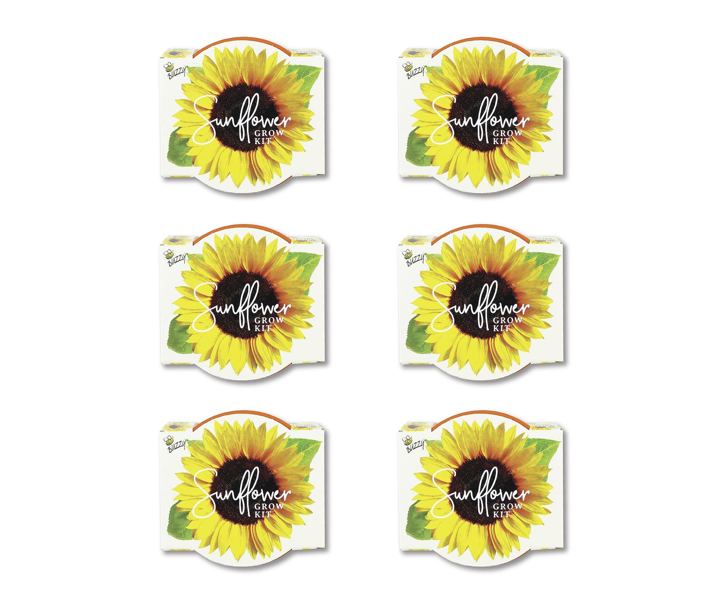 BUZZY Seeds Sunflower Daydream Collection 6-Pack Mini Terracotta Grow Pots, Includes Seed Packets and Growing Medium, Flower Starter Kit, Indoor Gardening Gift, Wedding Favors