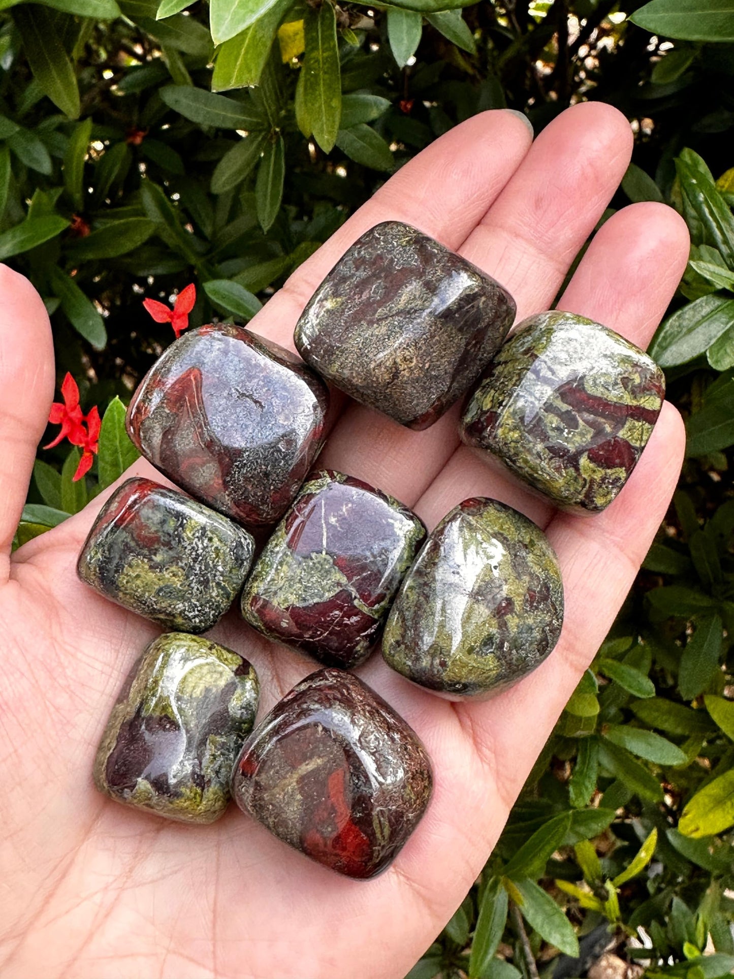 GAF TREASURES 5 Pcs Dragon Blood Jasper Tumbled Stones, Polished Dragon Blood Jasper Gemstone, Dragon Blood Jasper Healing Crystals (Dragon Blood Jasper)
