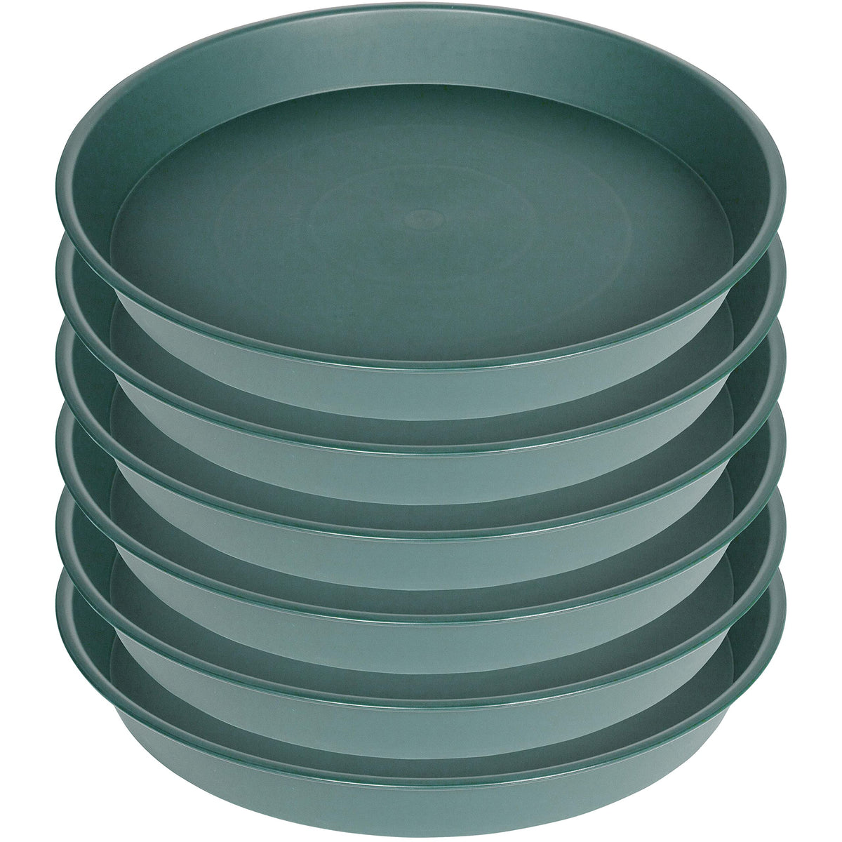 Bleuhome 6 Pack of 8 inch Plant Saucer, Heavy Duty Plastic Plant Water Tray, Pebble Tray, Flower Saucers for Indoors, Pot Saucers, Bird Bath Bowls, Plant Dishes for Planter 7"/8" (8", Black)