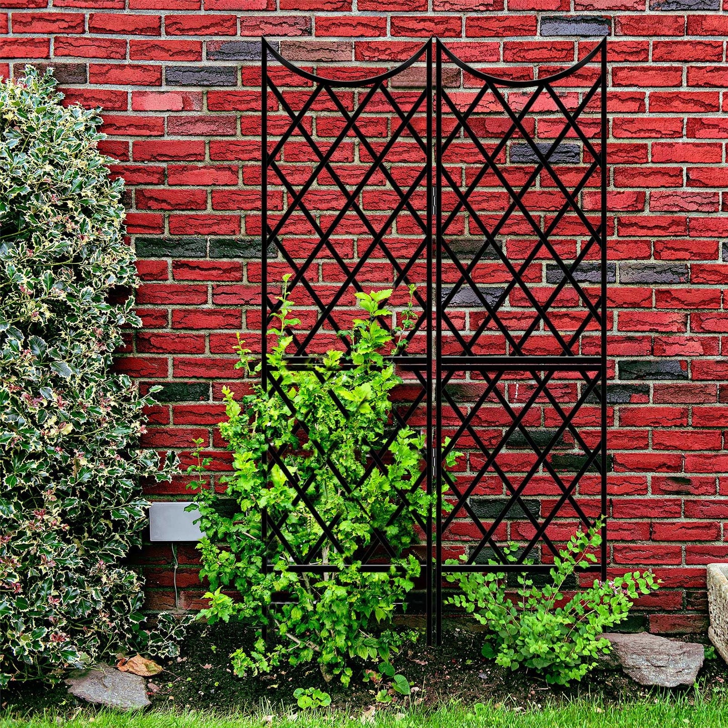 Newtay Giant Trellis for Climbing Plants, Rustproof Metal Vine Trellis with Black Coating Large Heavy Duty Plant Trellis for Outdoor Climbing Plants Vegetables Support (58'' X 36'',Stylish Style)