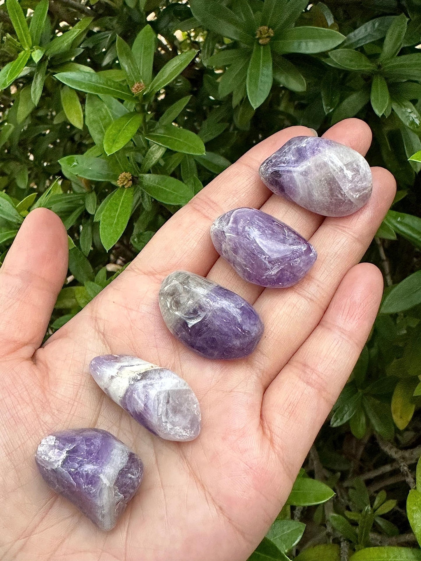GAF TREASURES 5 Pcs Chevron Amethyst Tumbled Stones, Polished Chevron Amethyst Gemstone, Chevron Amethyst Healing Crystals (Chevron Amethyst)