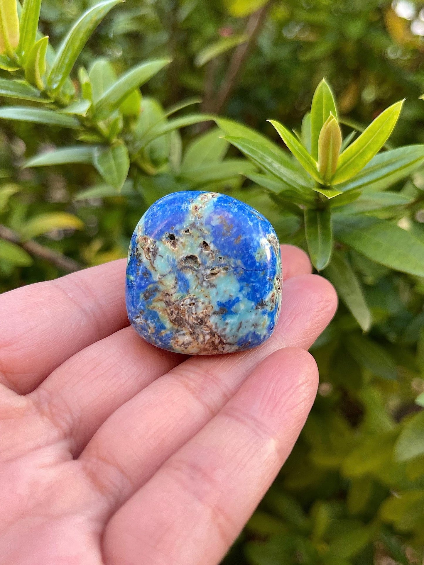 GAF TREASURES 5 Pcs Azurite Malachite Tumbled Stones, Polished Natural Azurite Malachite Gemstone, Azurite Malachite Healing Crystals (Azurite Malachite)