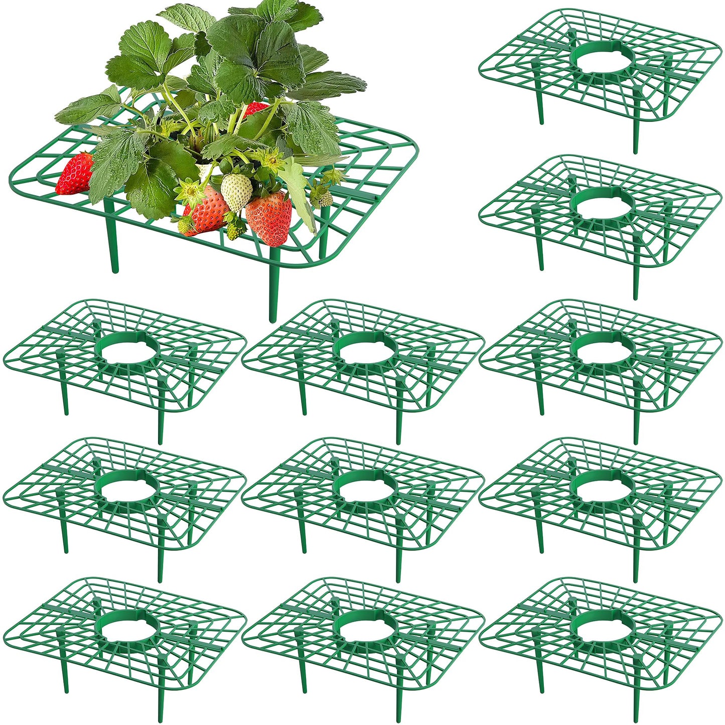 Iceyyyy 12 Packs Square Strawberry Supports-Strawberry Growing Racks- Plant Support Strawberry Stand Holder Growing Frame Keep Berries Clean