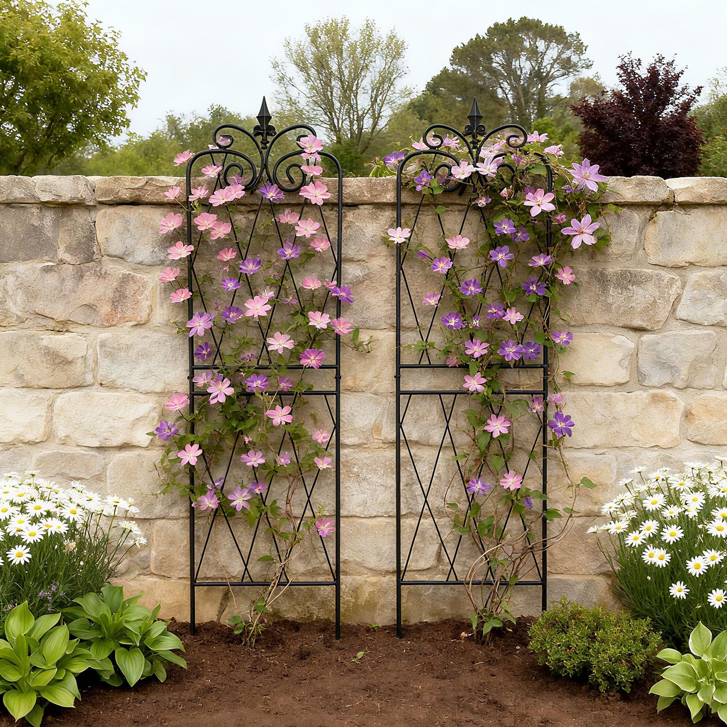 SCENDOR Garden Trellis for Climbing Plants 59inch x15inch Rustproof Metal Vine Trellises for Outdoor Climbing Plants Support Structures A (150cm) 2Pack