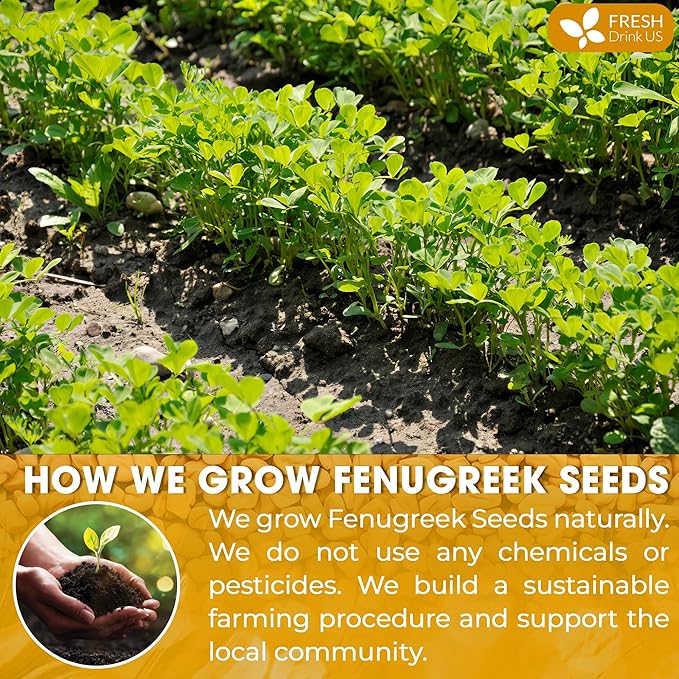 FRESHDRINKUS, Premium 16oz Fenugreek Powder, 100% Natural and Pure from Fenugreek, Perfect for Curries Soups, and Spice Blends, No Additives, No Gluten, No Sugar, Vegan
