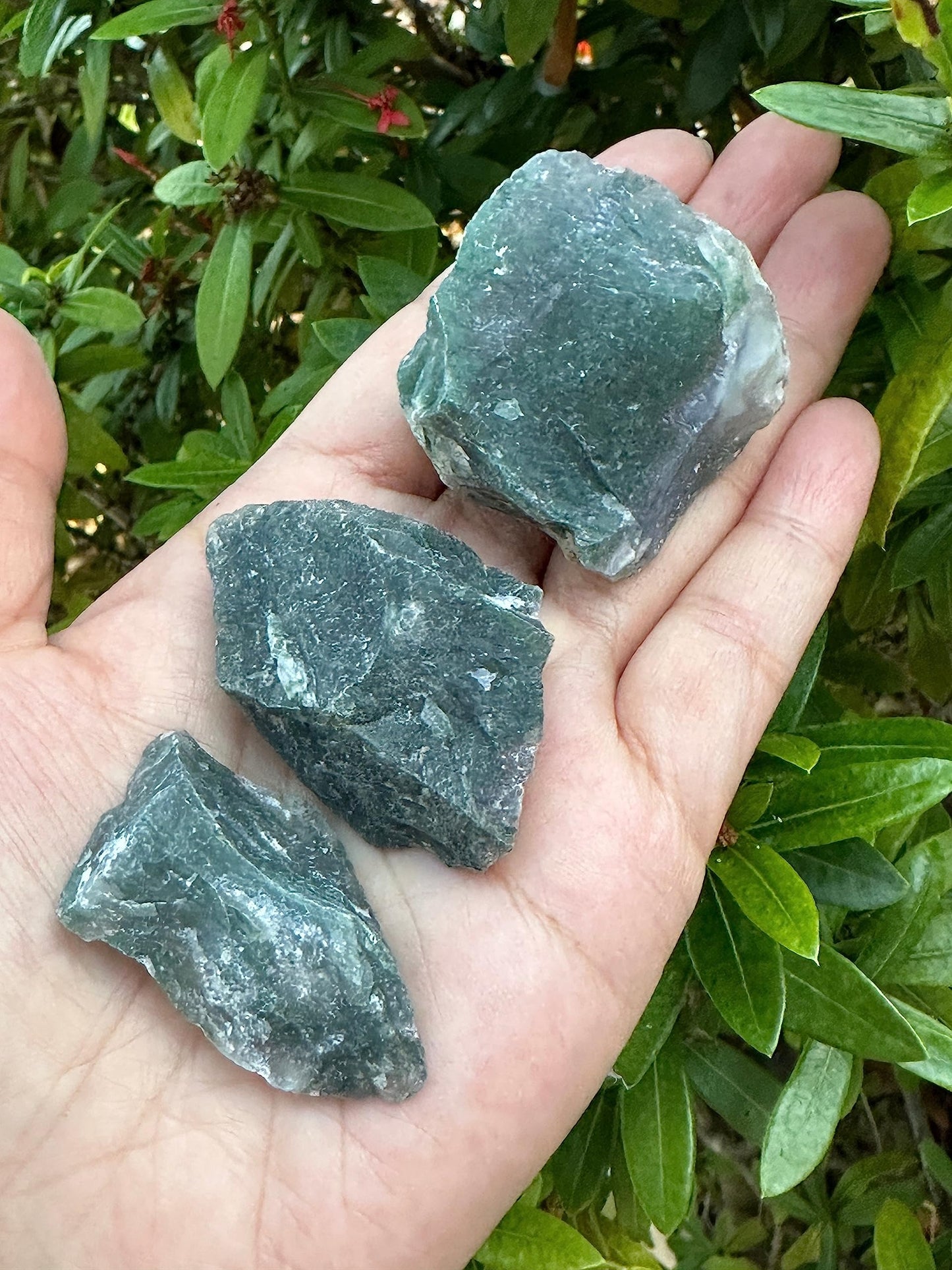 GAF TREASURES Wholesale Raw Tree Agate Crystals, Natural Tree Agate, Natural Rough Tree Agate Crystals, Tree Agate Healing Crystals (Tree Agate, 0.5 Pound)