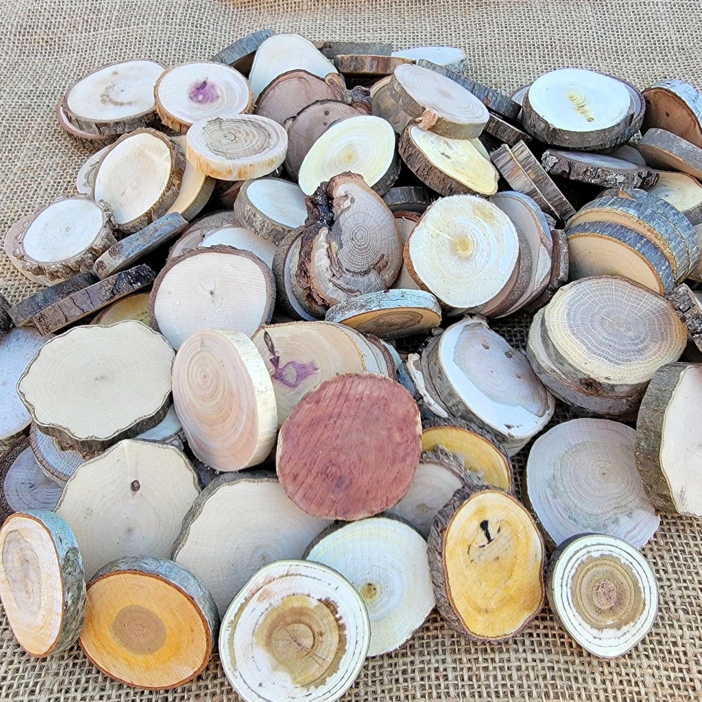 Unfinished Wood Slice Variety Pack, Extra Small Assorted Wood Slices 0.75 to 1.25 Inch Diameter, Natural Organic Vase Filler, Wedding or Home Decor, DIY Craft Projects