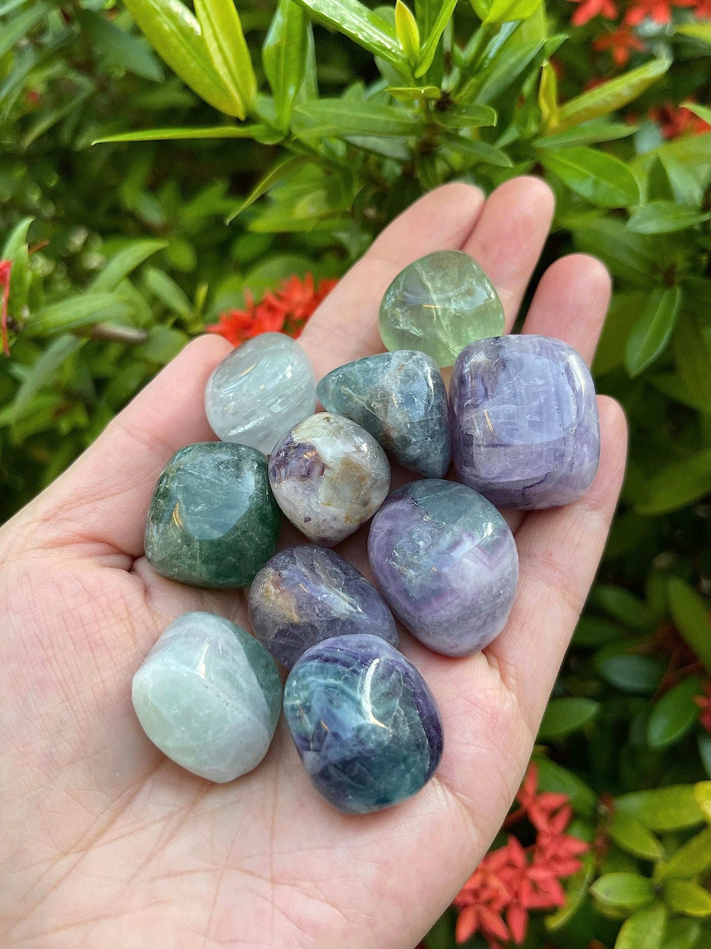 GAF TREASURES 5 Pcs Rainbow Fluorite Tumbled Stones, Polished Natural Rainbow Fluorite Gemstone, Rainbow Fluorite Healing Crystals (Rainbow Fluorite)