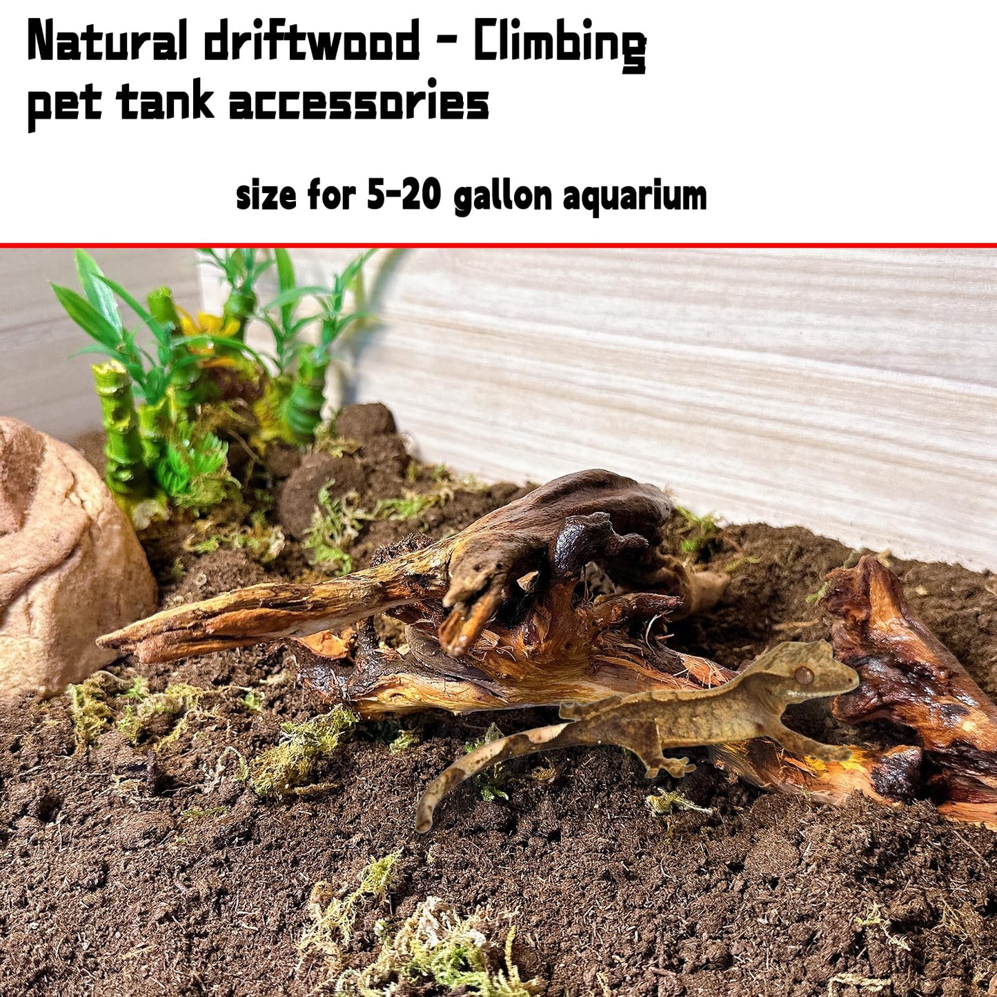 Hamiledyi 5PCS Aquarium Driftwood,3.5-7in Natural Coral Wood,Fish Tank Driftwood Assorted Branches Reptile Tank Decor Aquarium Decoration