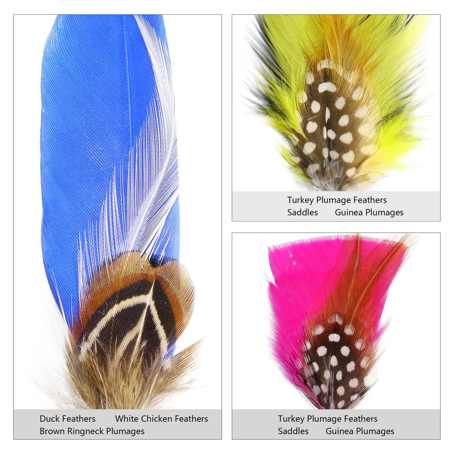 SendyFeather Hat Feathers 30 Styles Natural Assorted Feathers for Fedora Hats Accessories DIY Craft,Western Cowboy Hats,Christmas Party Hats,Oktoberfest Hats
