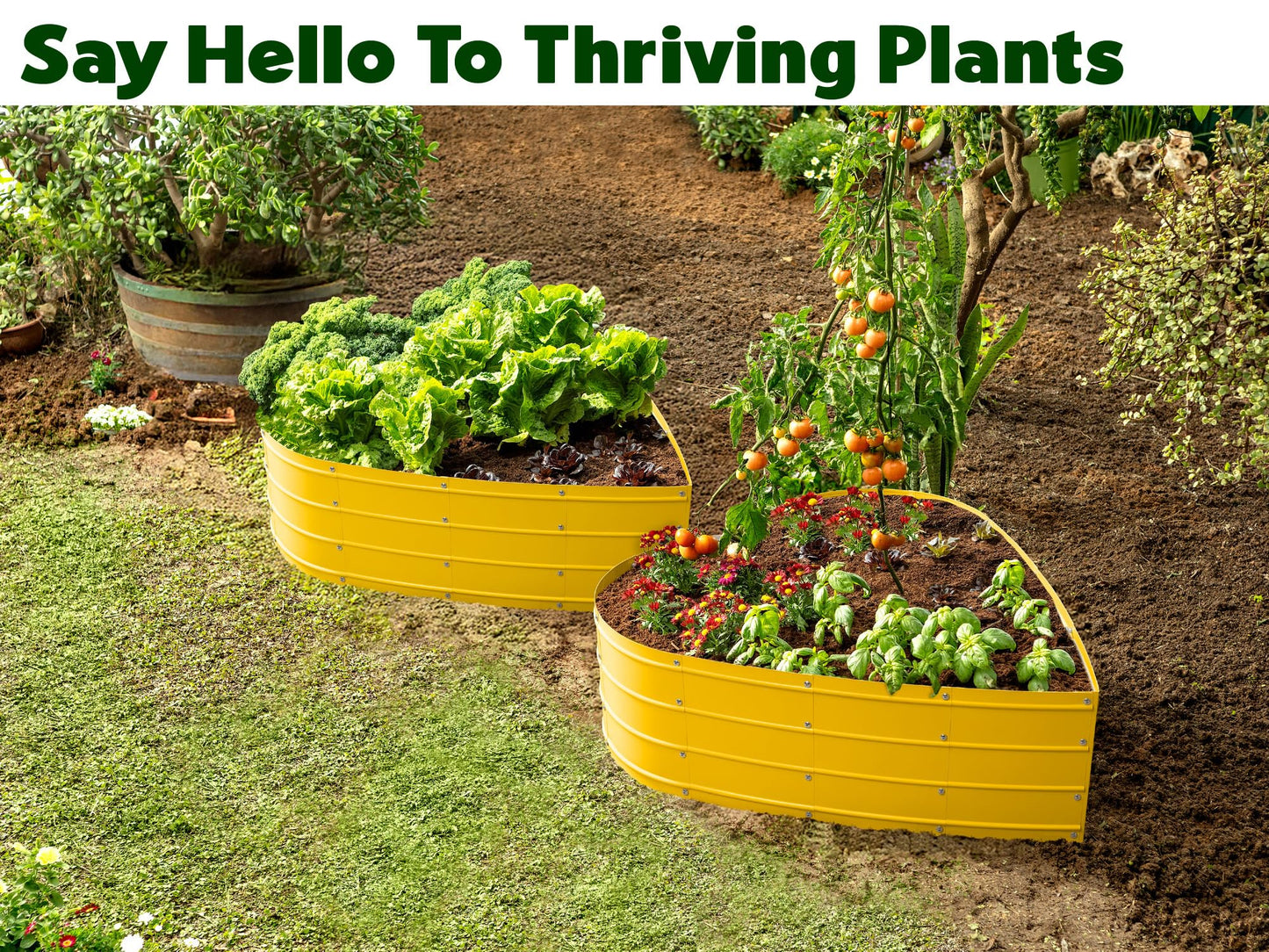 Plant & Plot Galvanized Raised Garden Beds Outdoor // Planter Raised Beds for Gardening, Vegetables, Flowers // Large Metal Garden Box (Yellow) // Tool-Free Assembly