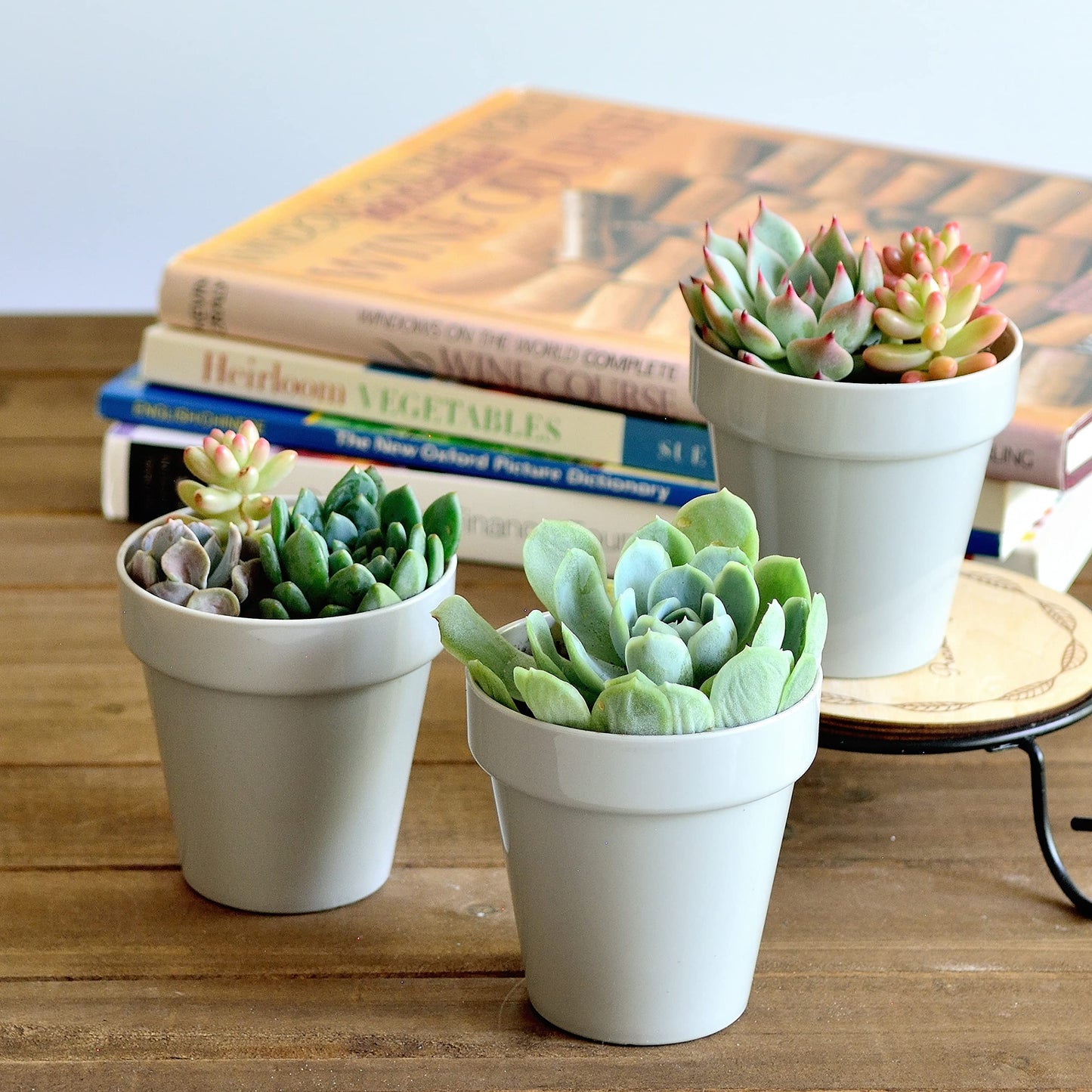 Youngever 24 Pack 2 Inch Mini Plastic Planters, Indoor Flower Plant Pots, Grey Gardening Pot with Drainage - NO Plant Included (Classic)