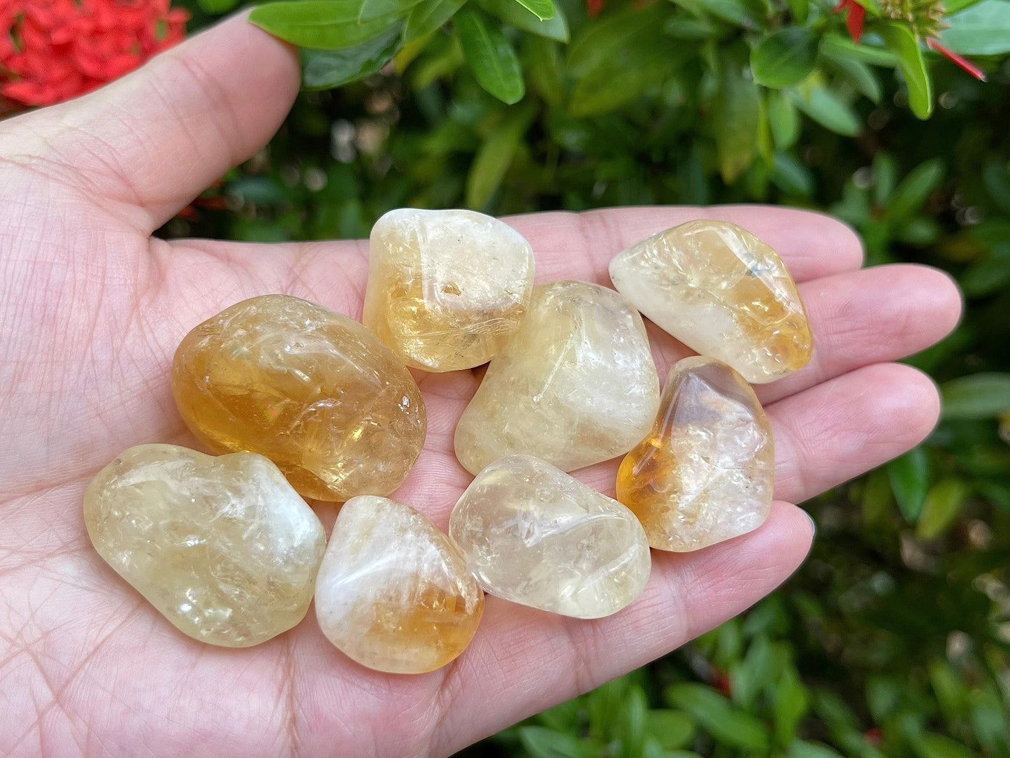 GAF TREASURES 5 Pcs Citrine Tumbled Stones, Polished Citrine Gemstone, Citrine Healing Crystals (Citrine)