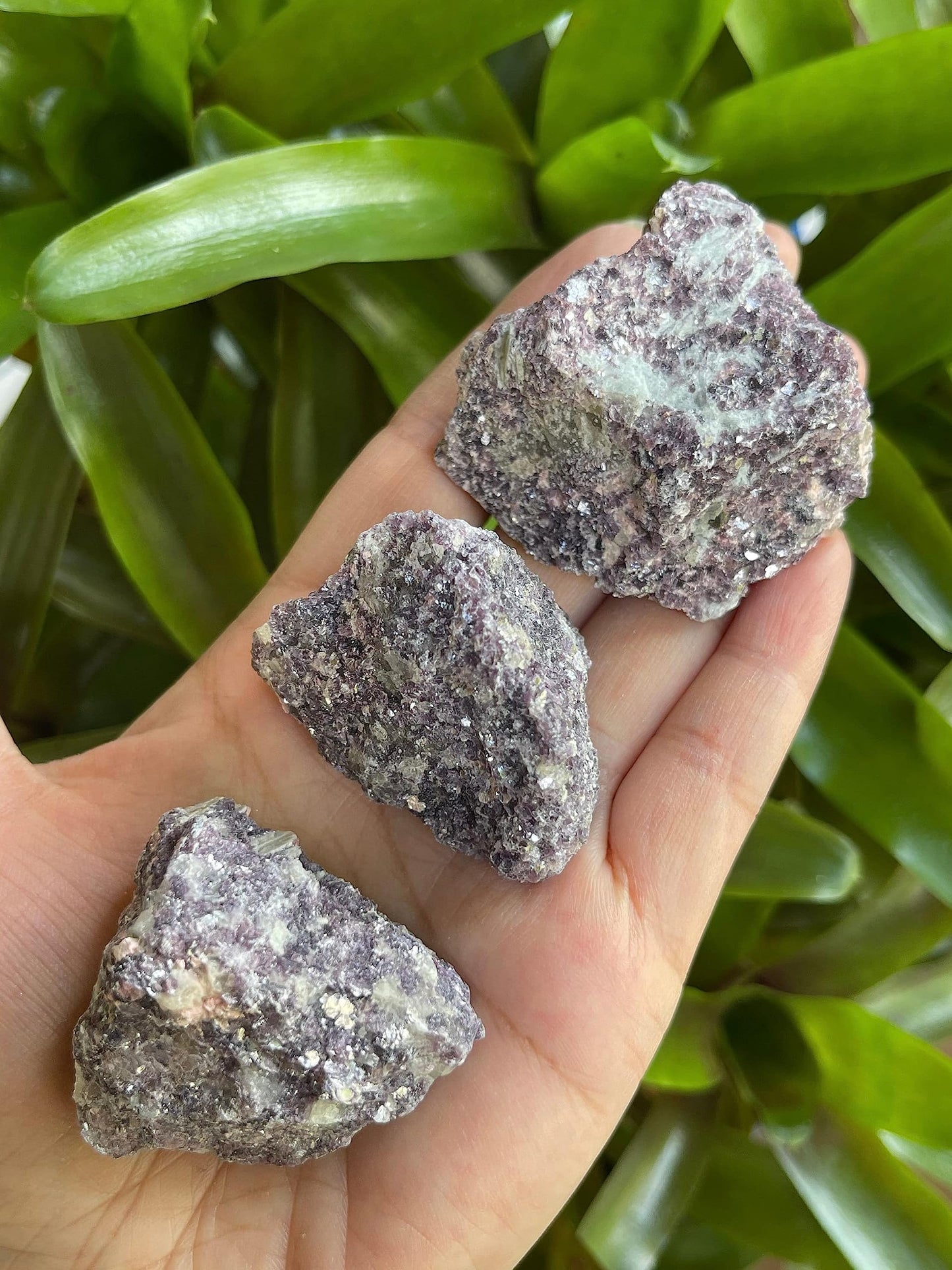 GAF TREASURES Wholesale Raw Lepidolite Crystals, Natural Lepidolite Stone, Natural Rough Lepidolite Crystals, Lepidolite Rough, Lepidolite Healing Crystals (Lepidolite, 0.5 Pound)