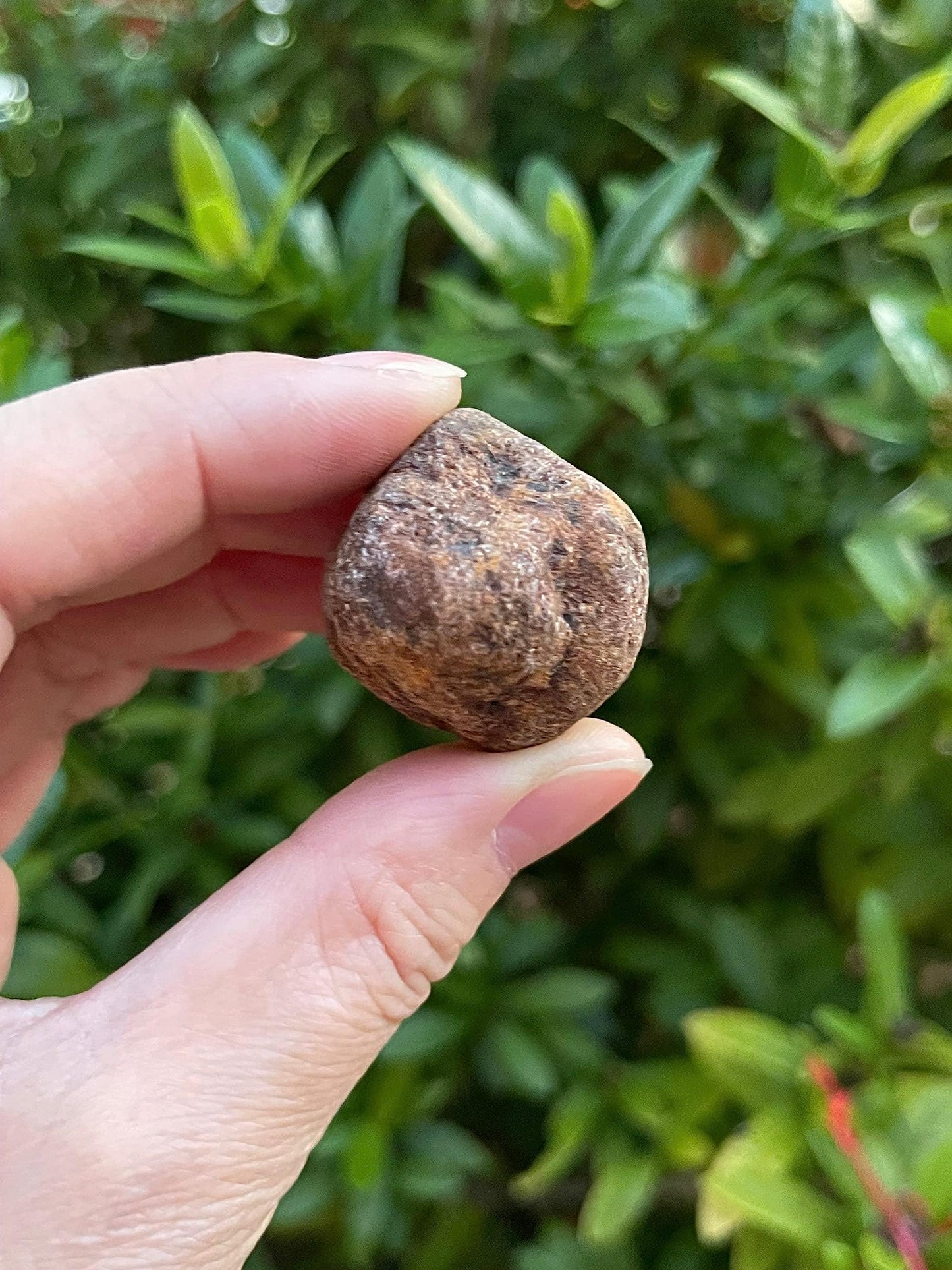 GAF TREASURES Wholesale Raw Garnet Crystals, Natural Garnet Stone, Natural Rough Garnet Crystals, Garnet Rough, Garnet Healing Crystals (Garnet, 0.25 Pound)