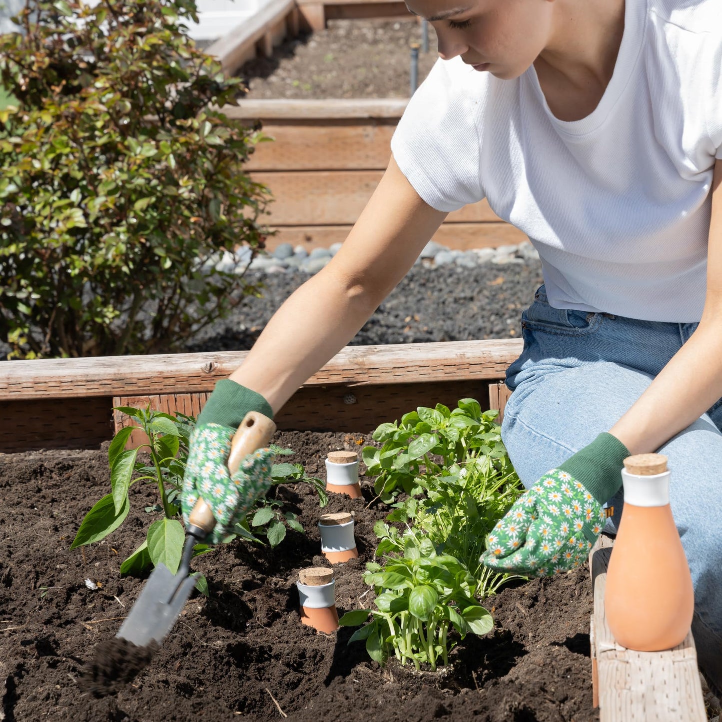 Everbrook Plant Self Watering Globes - Terracotta Watering Spikes - Slow Release Olla Watering Pots - Drip Irrigiation Olla System