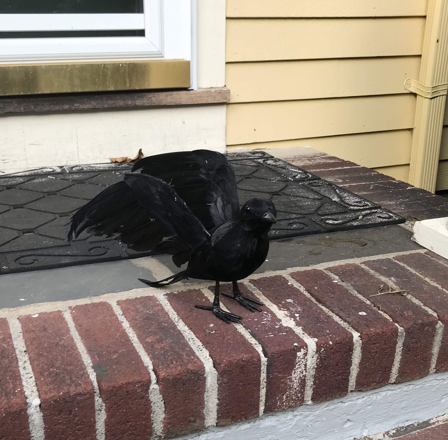 Worth Imports 10" Feathered Crow