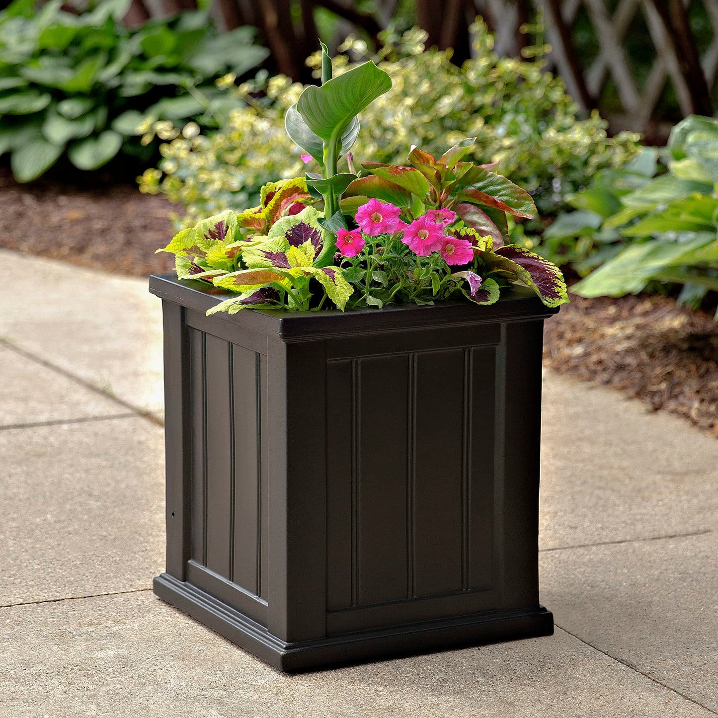 Mayne Cape Cod 16-Inch Square Planter – Self-Watering, Weather-Resistant Planter for Flowers – Durable Outdoor Design for Patio, Porch, or Entryway