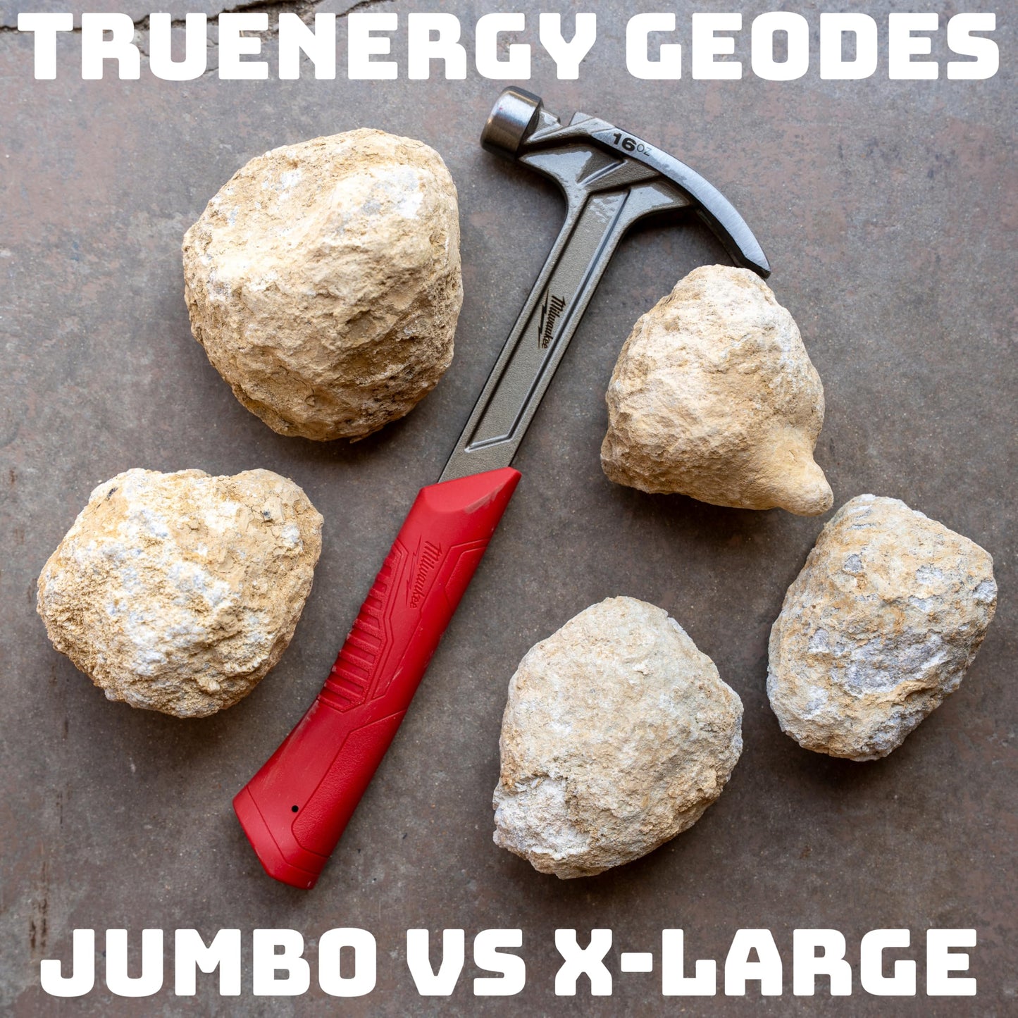 TruEnergy Jumbo Break Your Own Geodes – 2 Massive Natural Crystal Geodes 4.5 to 6.5 Inch, Easy Crack-Open Geology Specimens – Magnifying Glass & Geologist Guide – Gift Ready - [Jumbo]