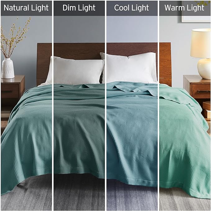 Madison Park Soft Certified 100% Egyptian Cotton Breathable Cozy Blanket, Premium Waffle Knit Classic Design, Luxury All Season Lightweight Cover for Bed, Couch and Sofa, Teal Twin(66"x90")