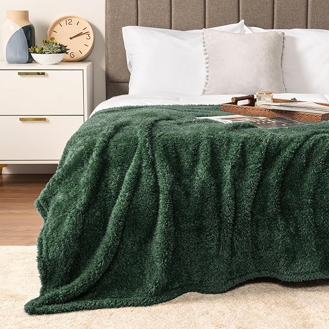PAVILIA Sherpa Throw Blanket for Couch Sofa, Emerald Green Fluffy Warm Plush Blanket for Twin Bed, Cozy Super Soft Lightweight Throw, Fuzzy Decorative Blanket, All Season Home, 60x80