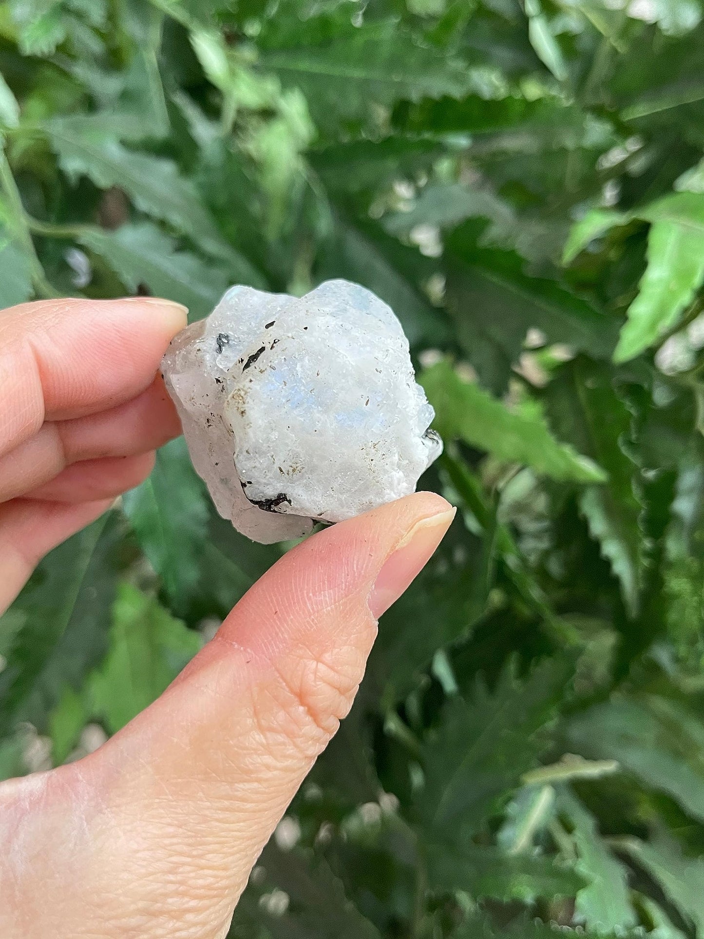 GAF TREASURES Wholesale Raw Rainbow Moonstone Crystals, Natural Rainbow Moonstone Stone, Rainbow Moonstone Rough, Rainbow Moonstone Healing Crystals (Rainbow Moonstone, 0.5 Pound)