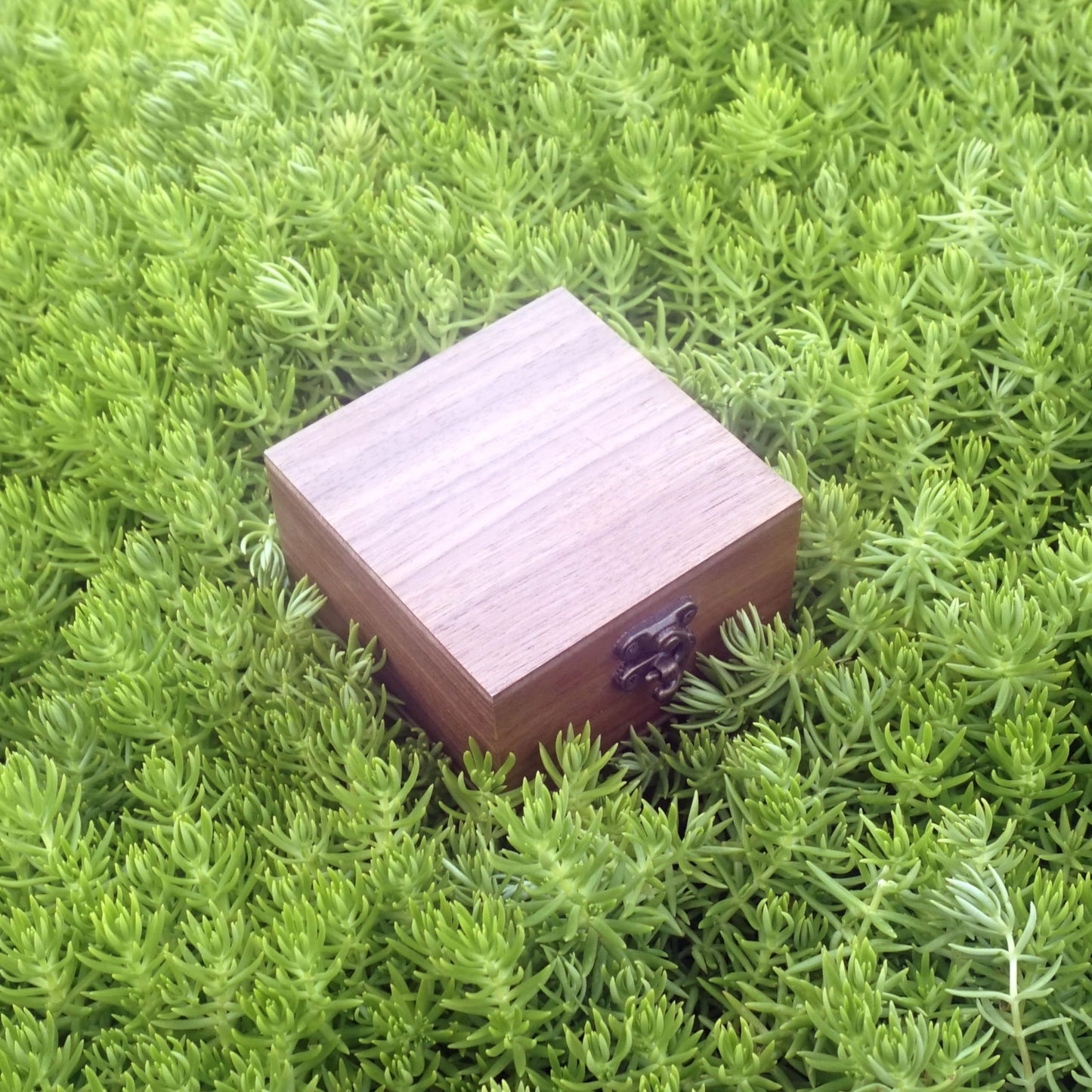LONMAIX Walnut Wood Box for Crafts, Jewelry Box and watch box Wooden Keepsake Box Gift (Walnut)