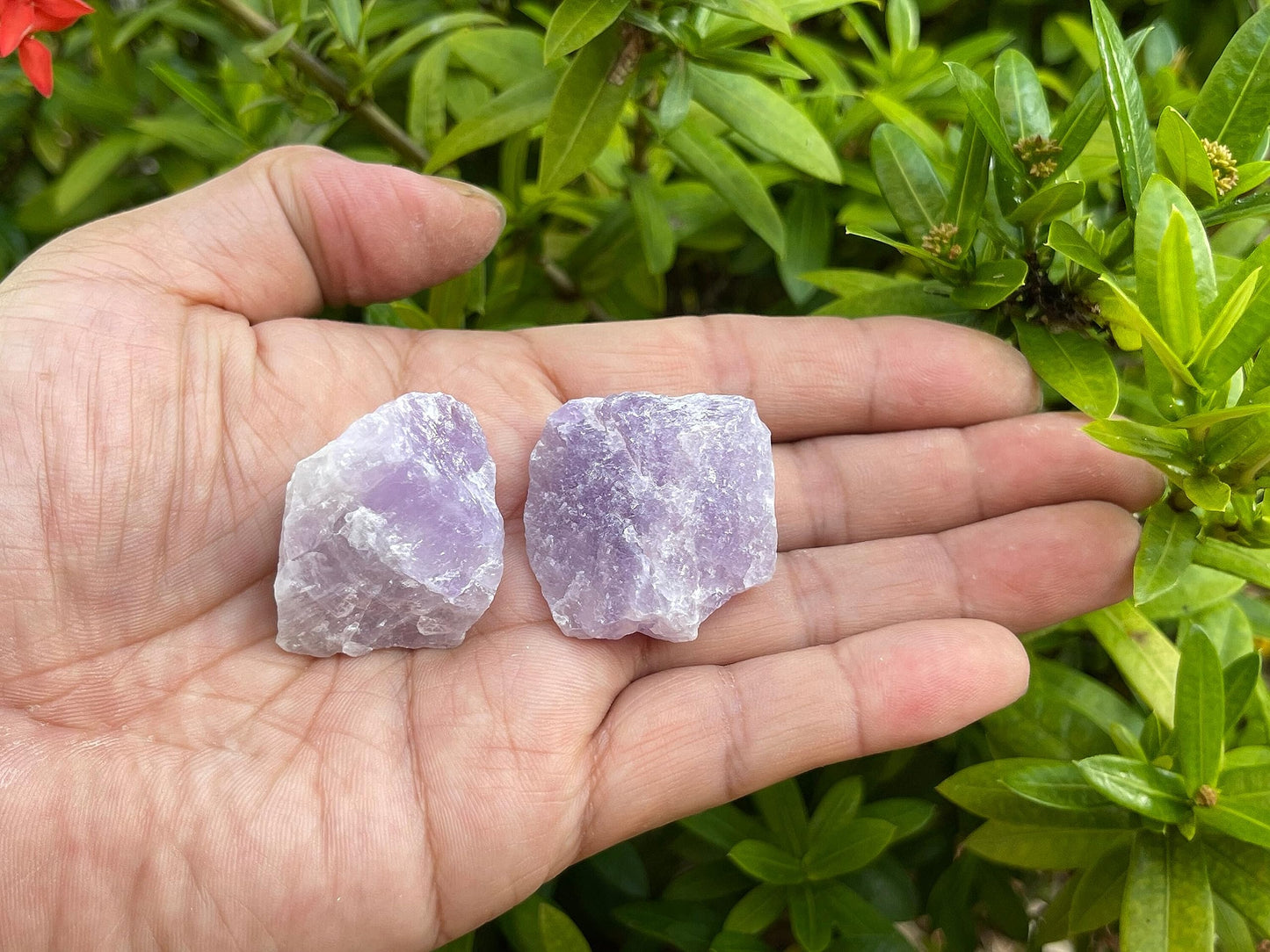 GAF TREASURES Wholesale Raw Amethyst Crystals, Natural Amethyst Stone, Natural Rough Amethyst Crystals, Amethyst Rough, Amethyst Healing Crystals (Amethyst, 0.5 Pound)