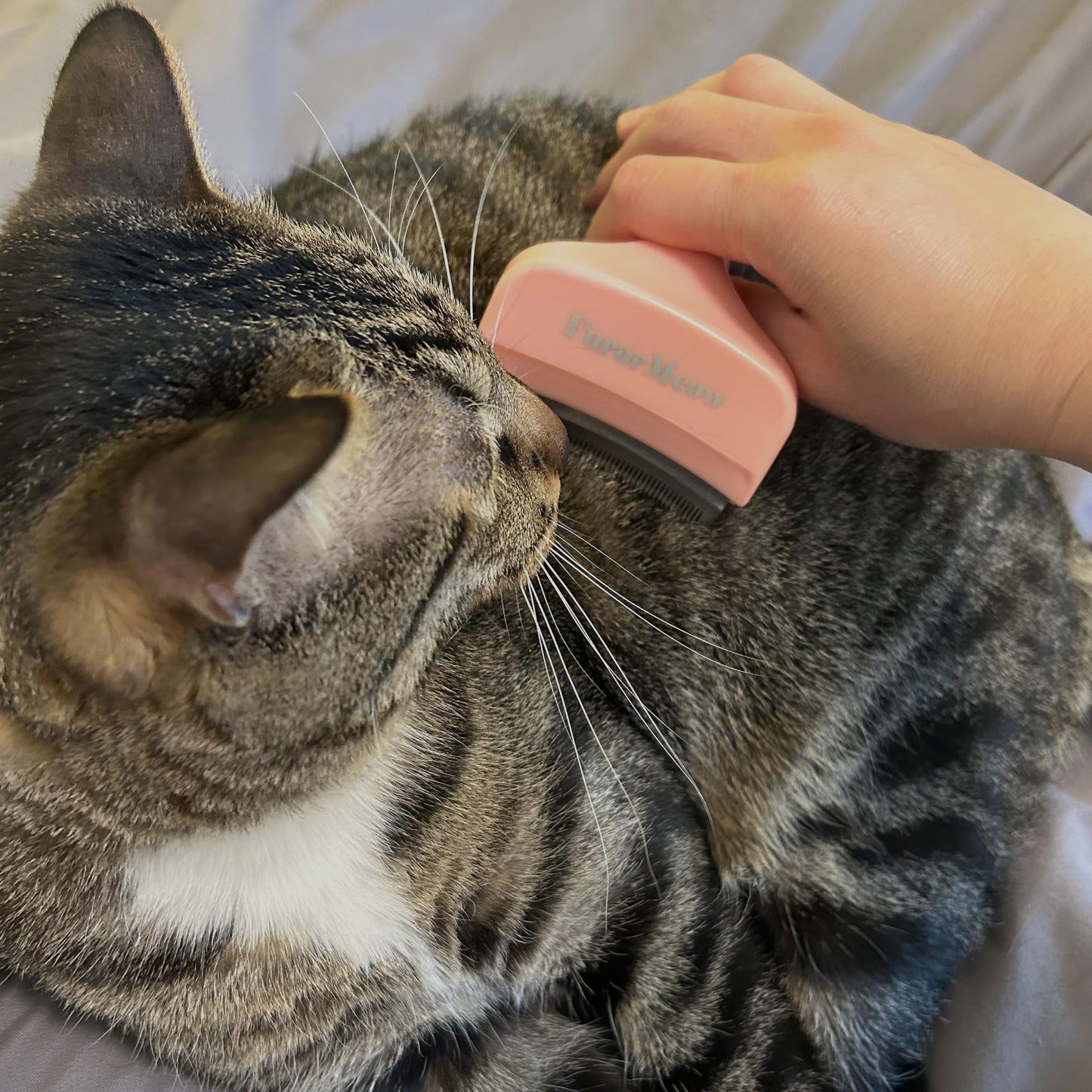 FurorMeow Pet Deshedding Tool with Curve Blade, Cat Grooming Brush, Tight V-shaped Teeth Shedding Comb for Cats and Dogs (Pink, Small)