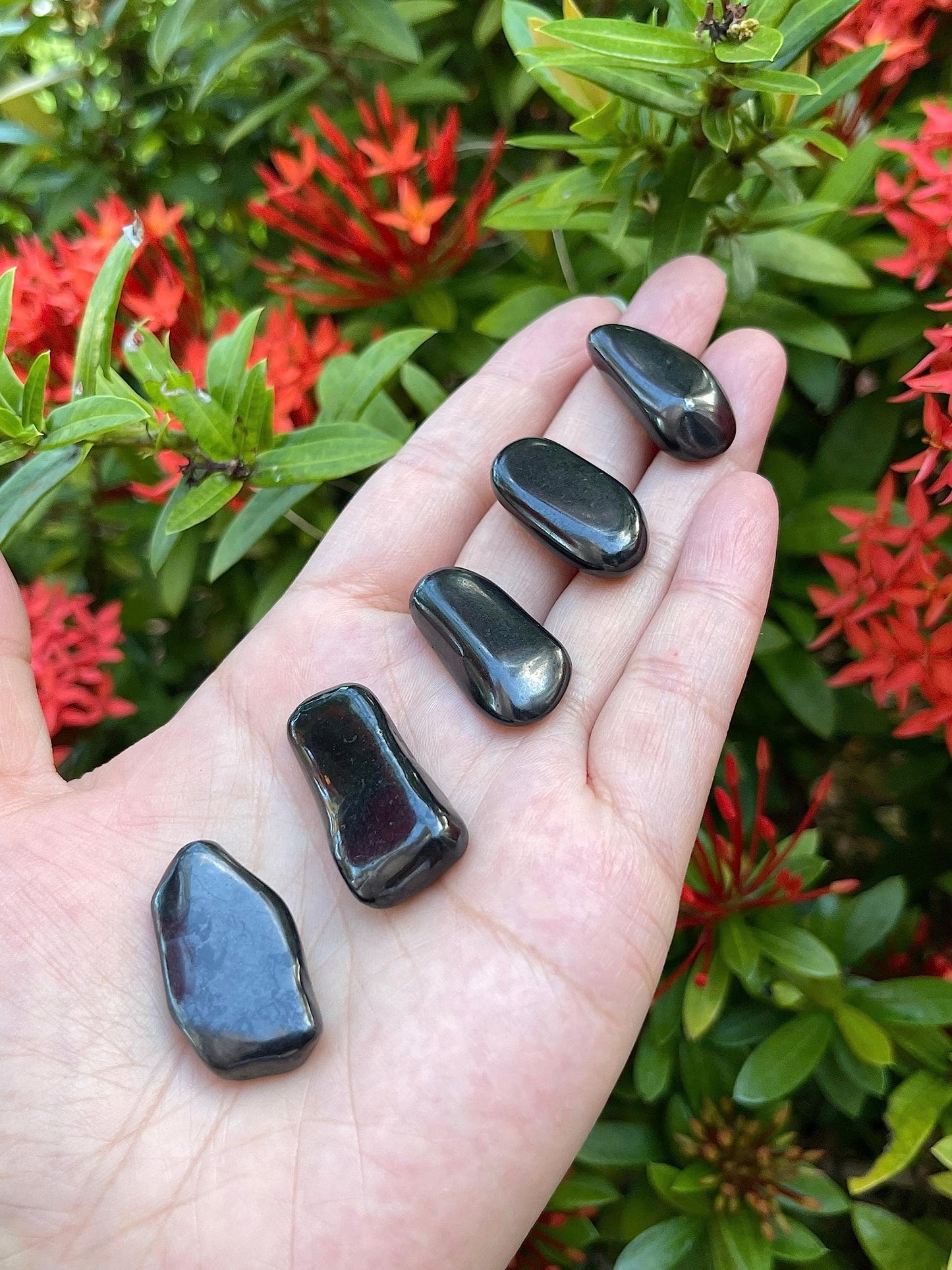 GAF TREASURES 5 Pcs Shungite Tumbled Stones, Polished Natural Shungite Gemstone, Shungite Healing Crystals (Shungite)