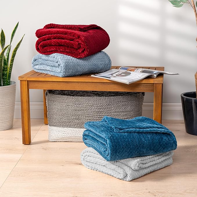 PAVILIA Soft Fleece Light Grey Throw Blanket for Couch, Lightweight Plush Warm Blankets for Bed, Fuzzy Cozy Flannel Blanket Throw for Sofa, Travel, Jacquard Pattern, Light Gray, 50x60 inch