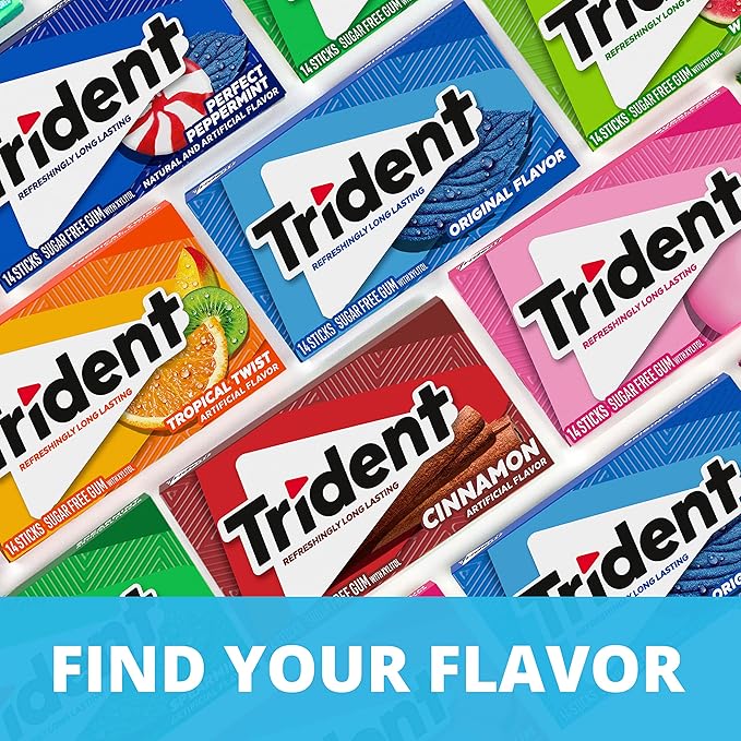 Trident Wintergreen Sugar-Free Chewing Gum, 12 Packs of 14 Pieces (168 Total Pieces)
