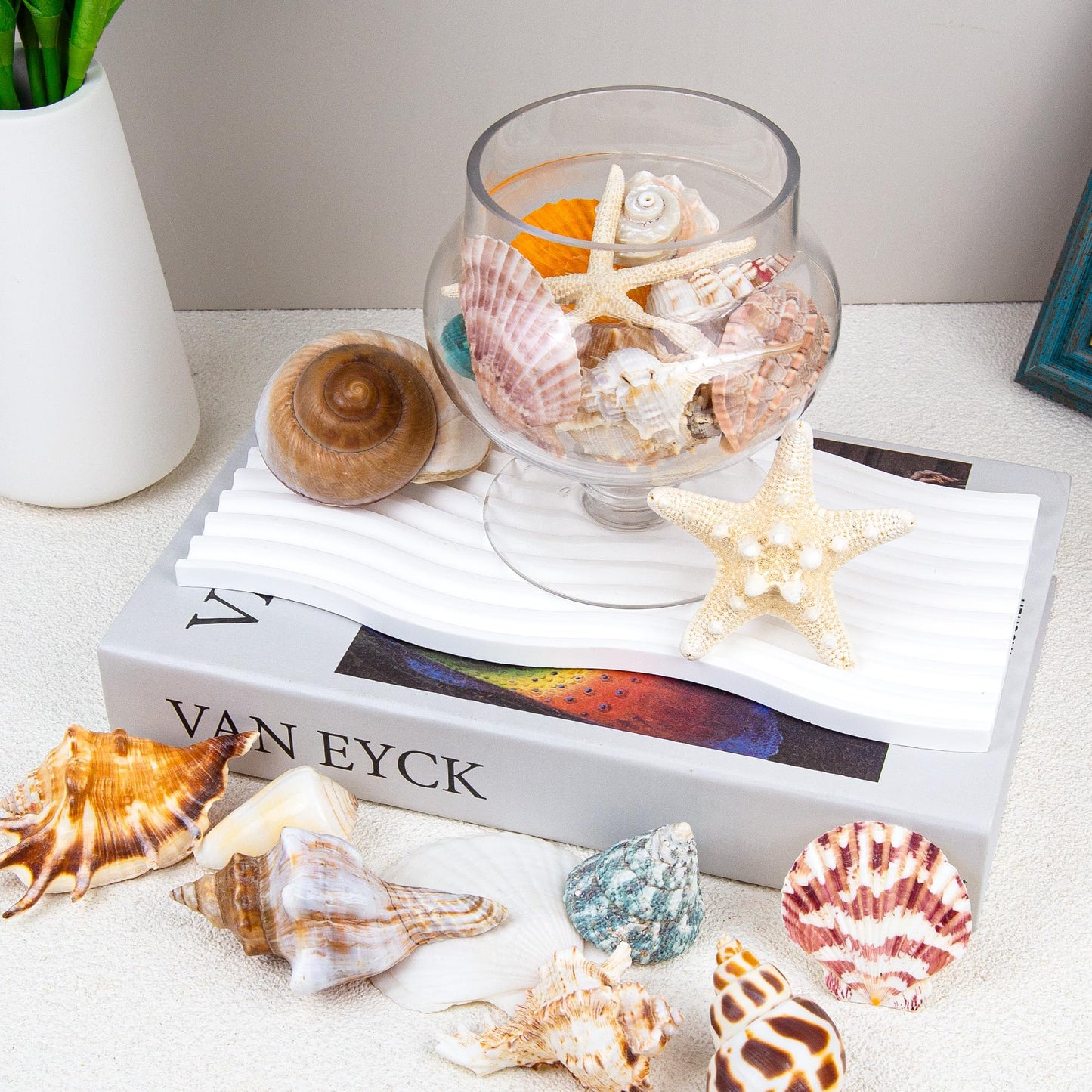 JQAQJU Sea Shells Mixed Beach Seashells 20 Kinds, 1.5"-5.5" Various Sizes Large Ocean Shells Conch 2 Kinds Natural Starfish for Decorating Beach Theme Party Fish Tank Filling Home Decor Wedding