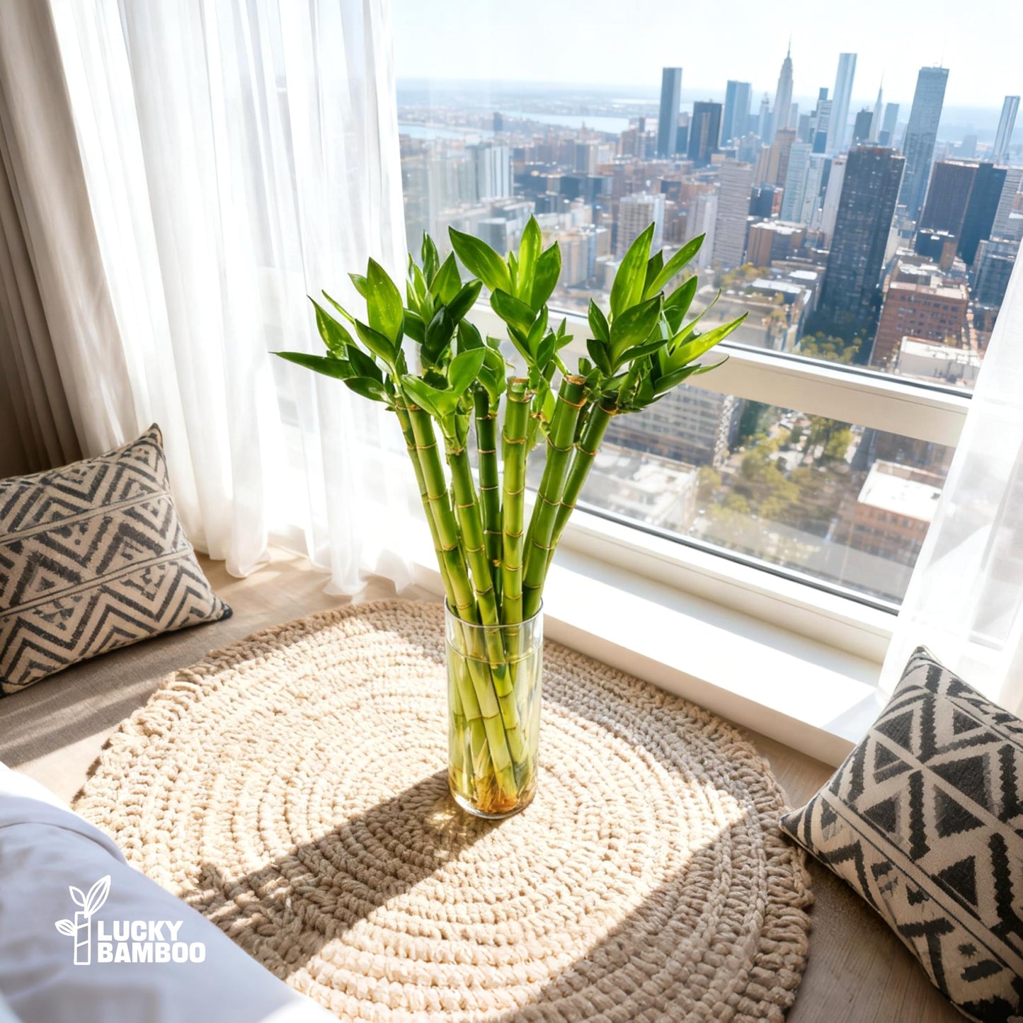 Yagaliga Lucky Bamboo 10 Stalks 18″ Live Indoor Plant Set – Perfect for Low-Light Spaces (Glass Container Not Included)